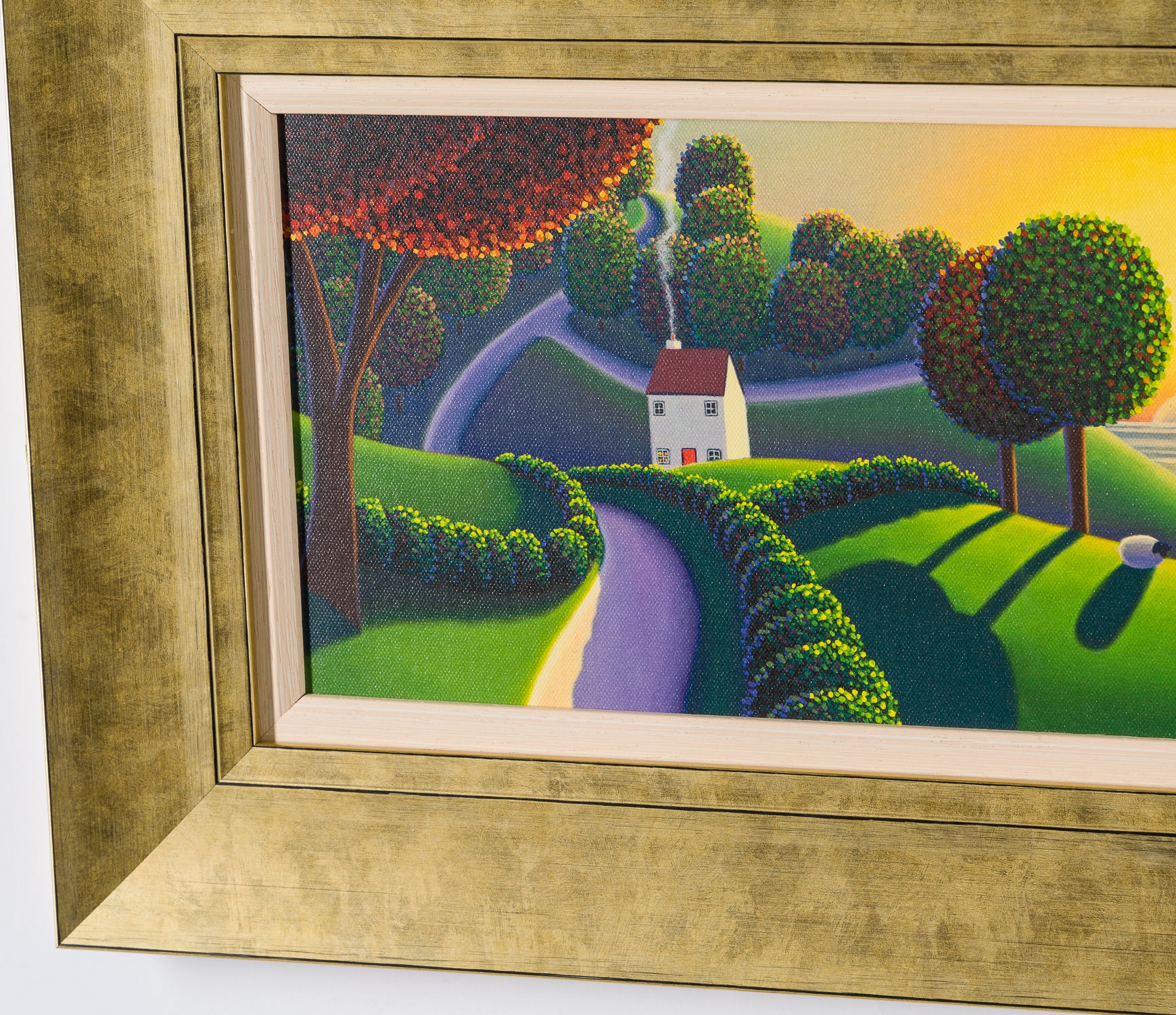 PCO Perfect Morning 5