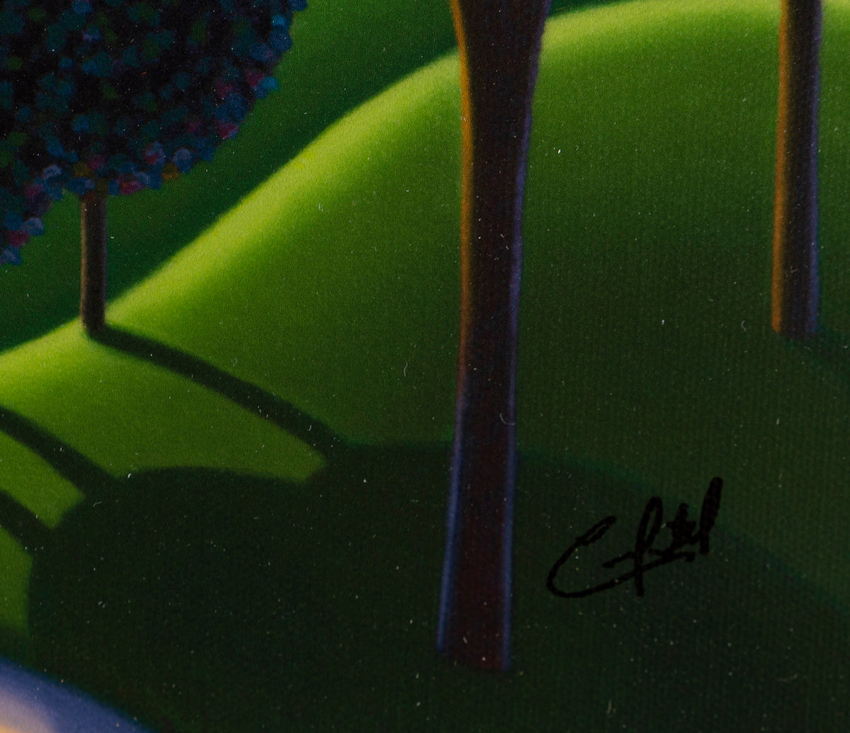 PCO SLE LAN 24094 6 Morning Blues