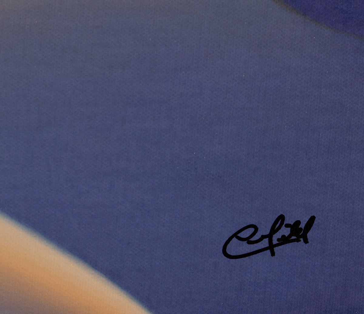 PCO SLE LAN 25711 5 Under a Blanket of Snow