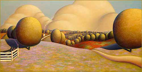 pco wild flowers meadow grasses r