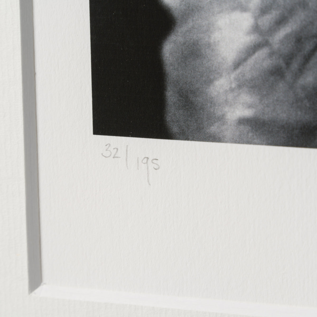 PEL SLE POR 03338 4 World Cup Winner