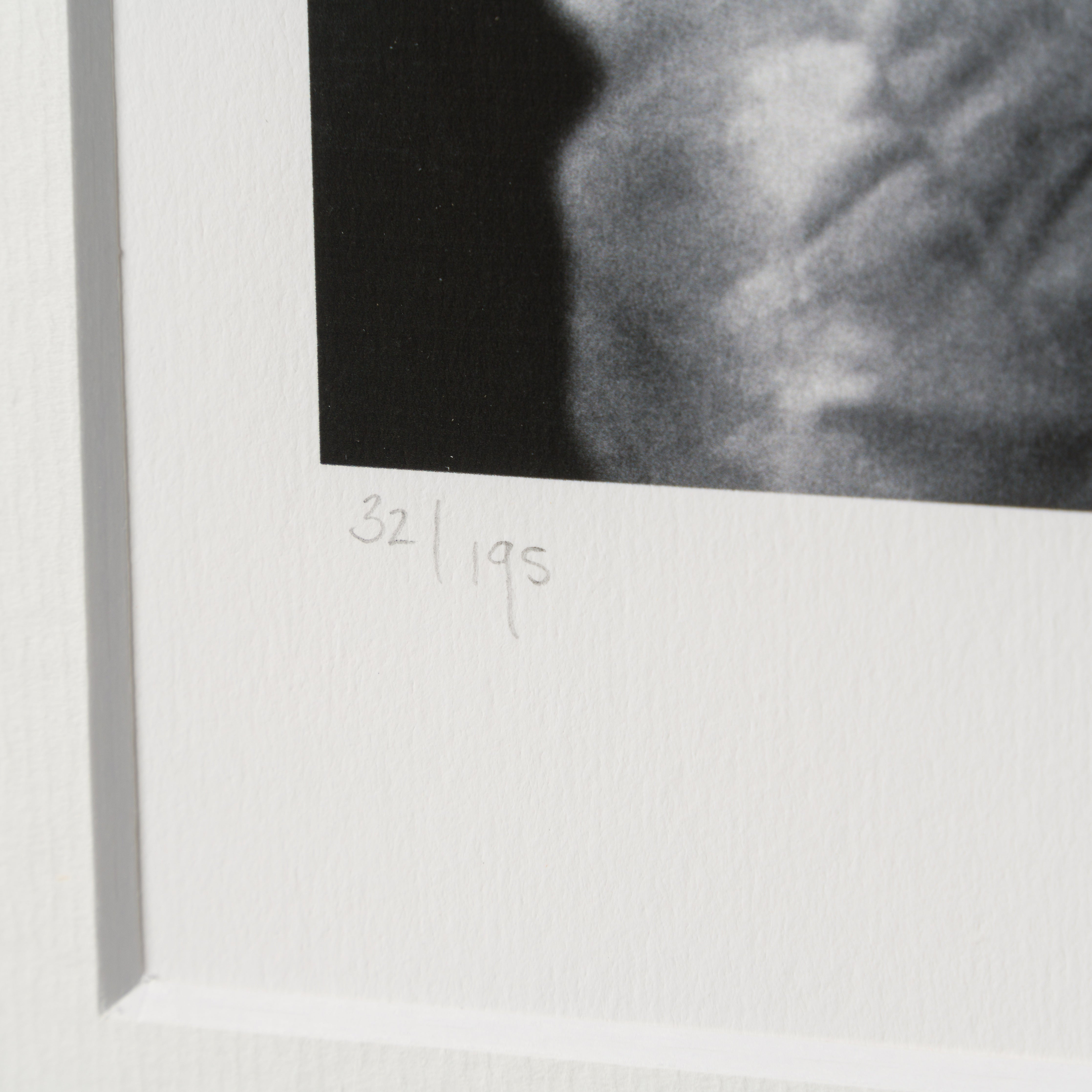 PEL SLE POR 03338 4 World Cup Winner