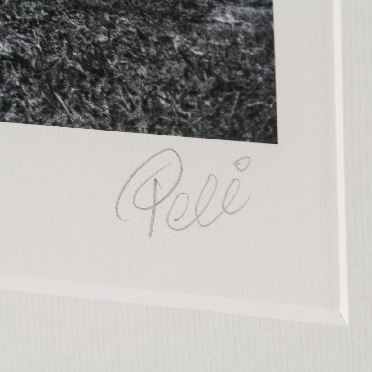 PEL SLE POR 03339 3 Back Of The Net 30