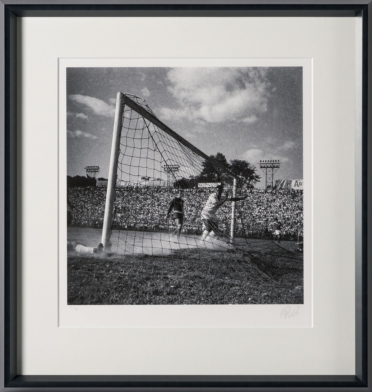 PEL SLE POR 03339 30 Back Of The Net 30