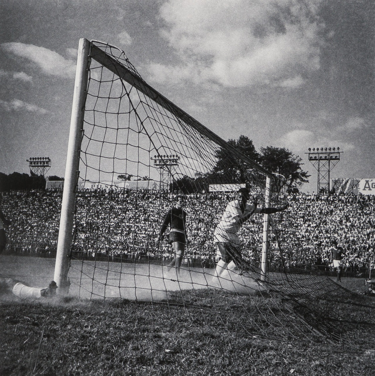 PEL SLE POR 03339 31 Back Of The Net 30