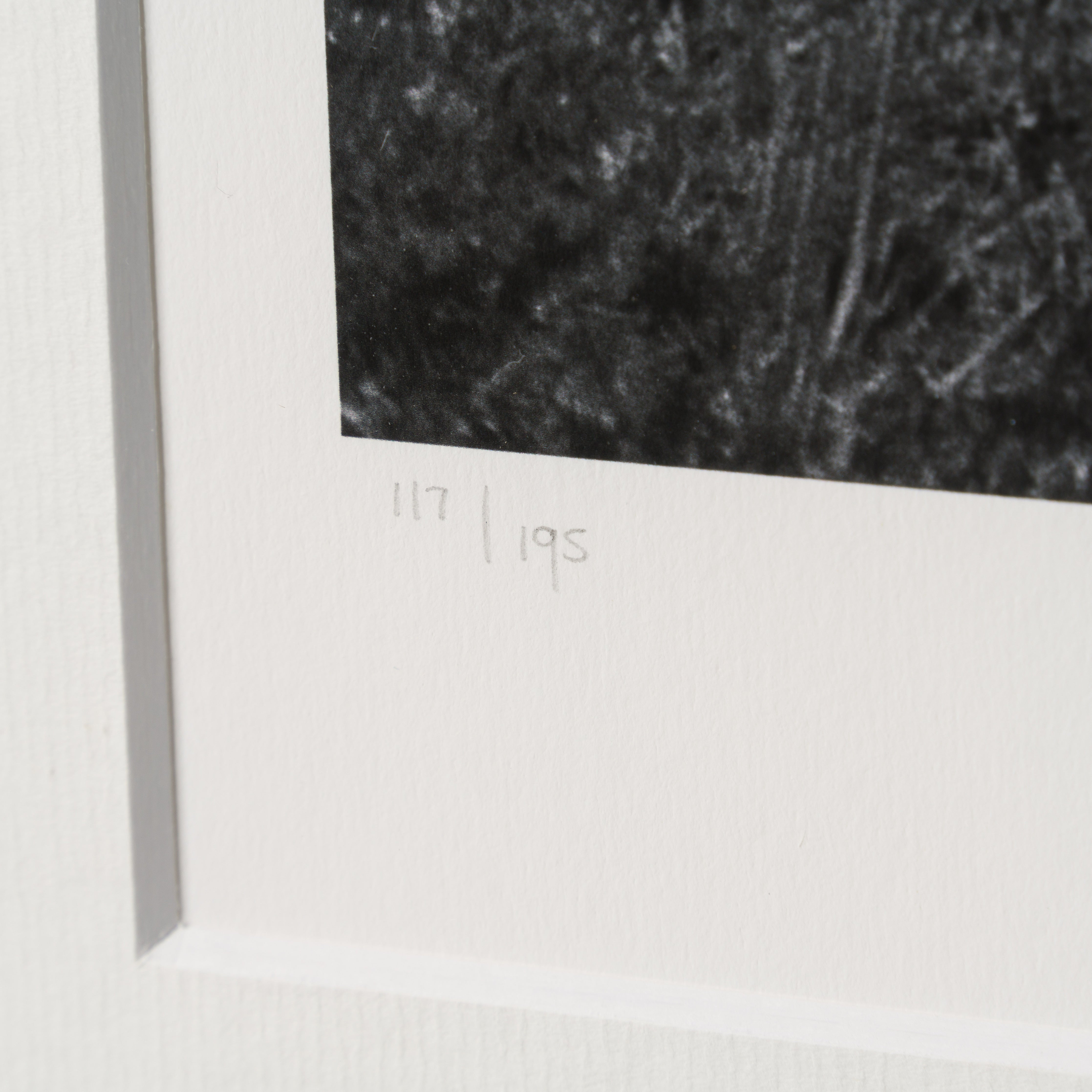 PEL SLE POR 03339 4 Back Of The Net 30