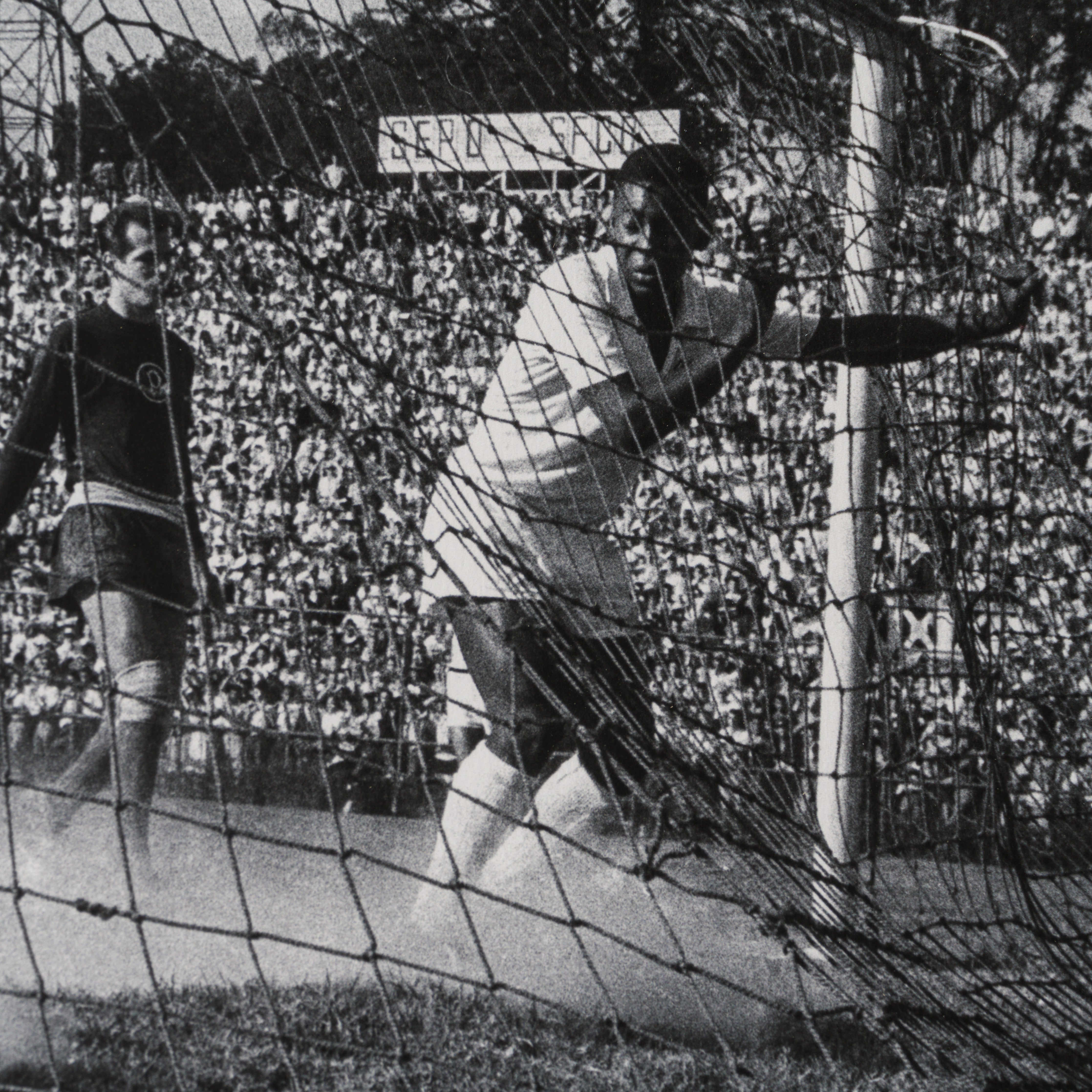 PEL SLE POR 03339 5 Back Of The Net 30