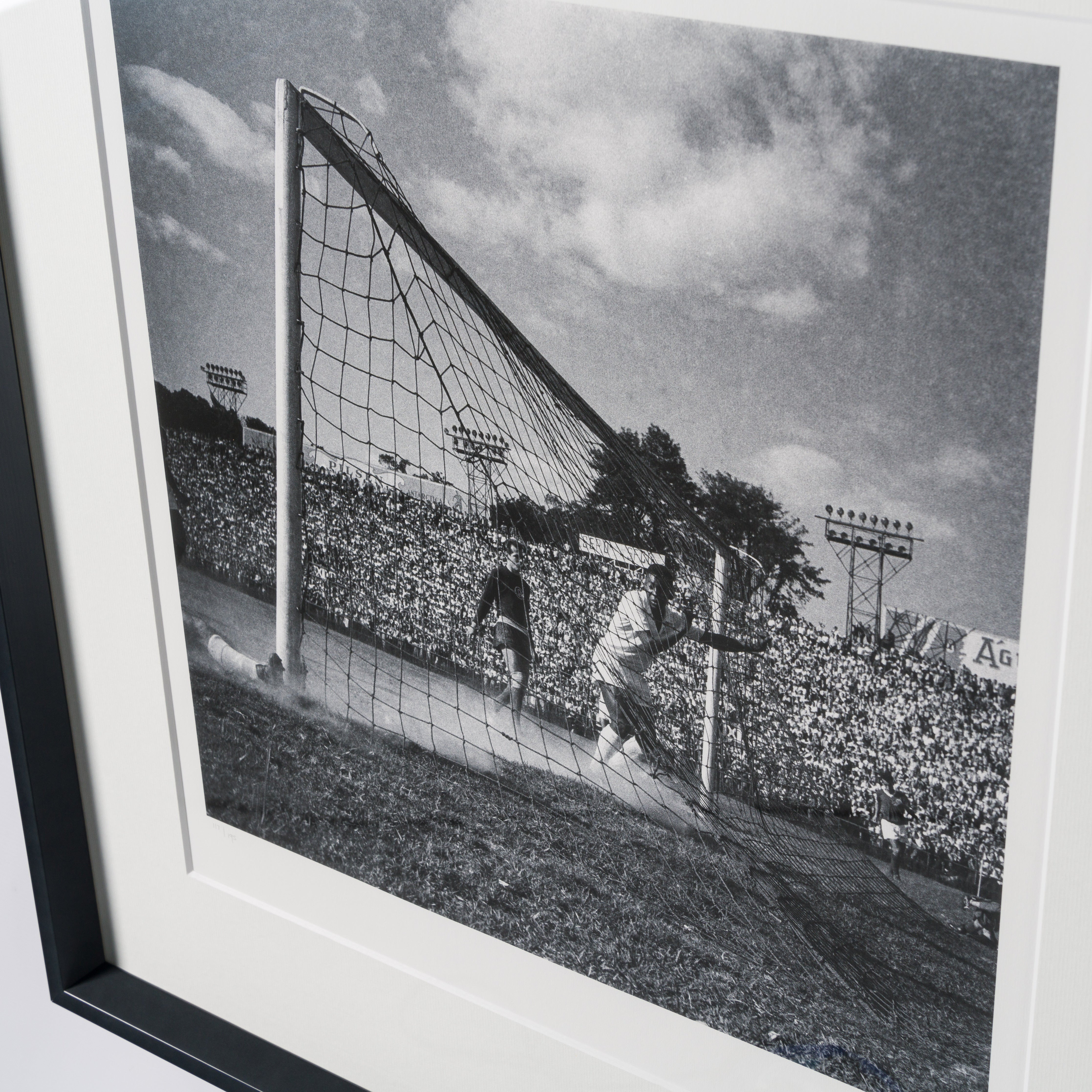 PEL SLE POR 03339 6 Back Of The Net 30