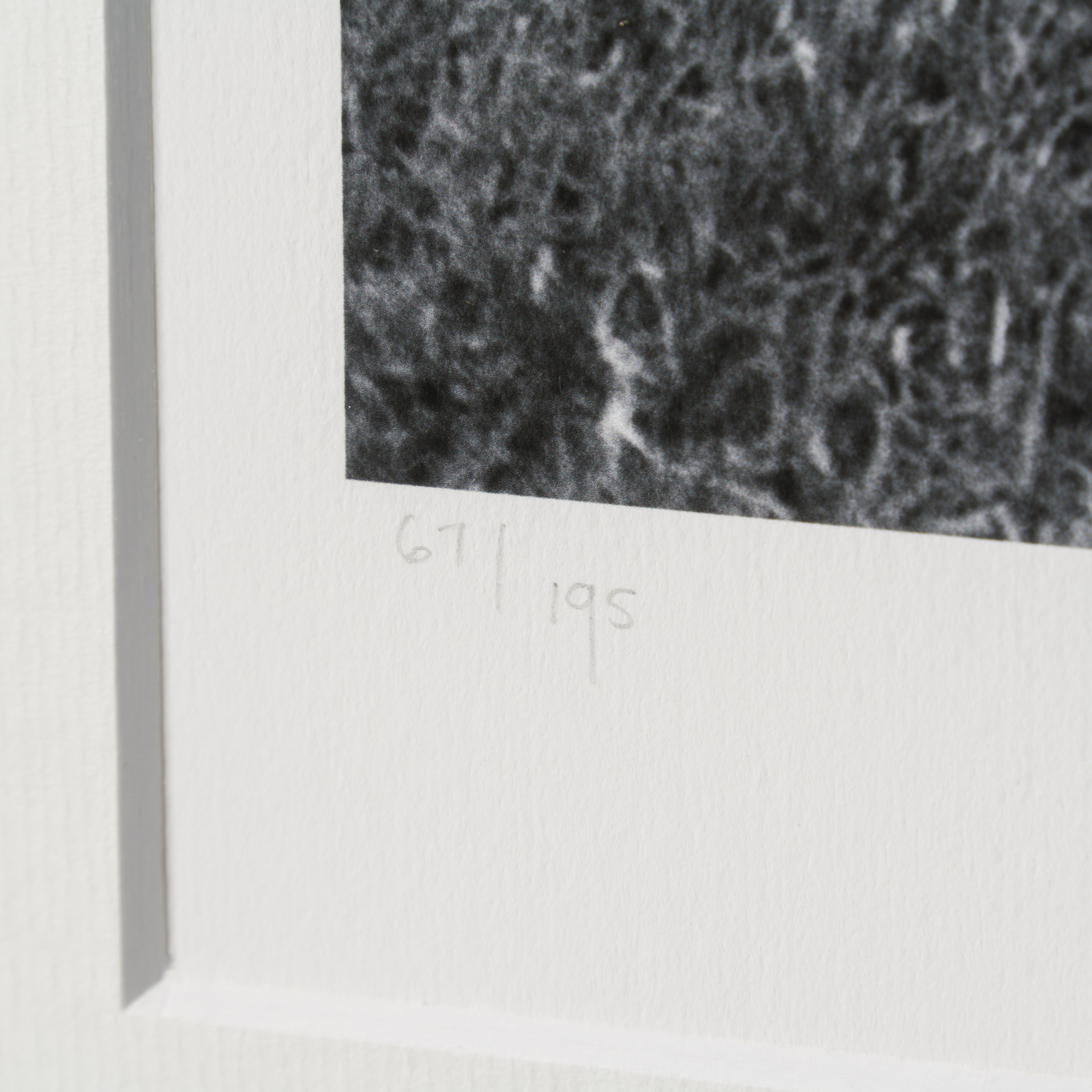 PEL SLE POR 03340 4 Brazil 30