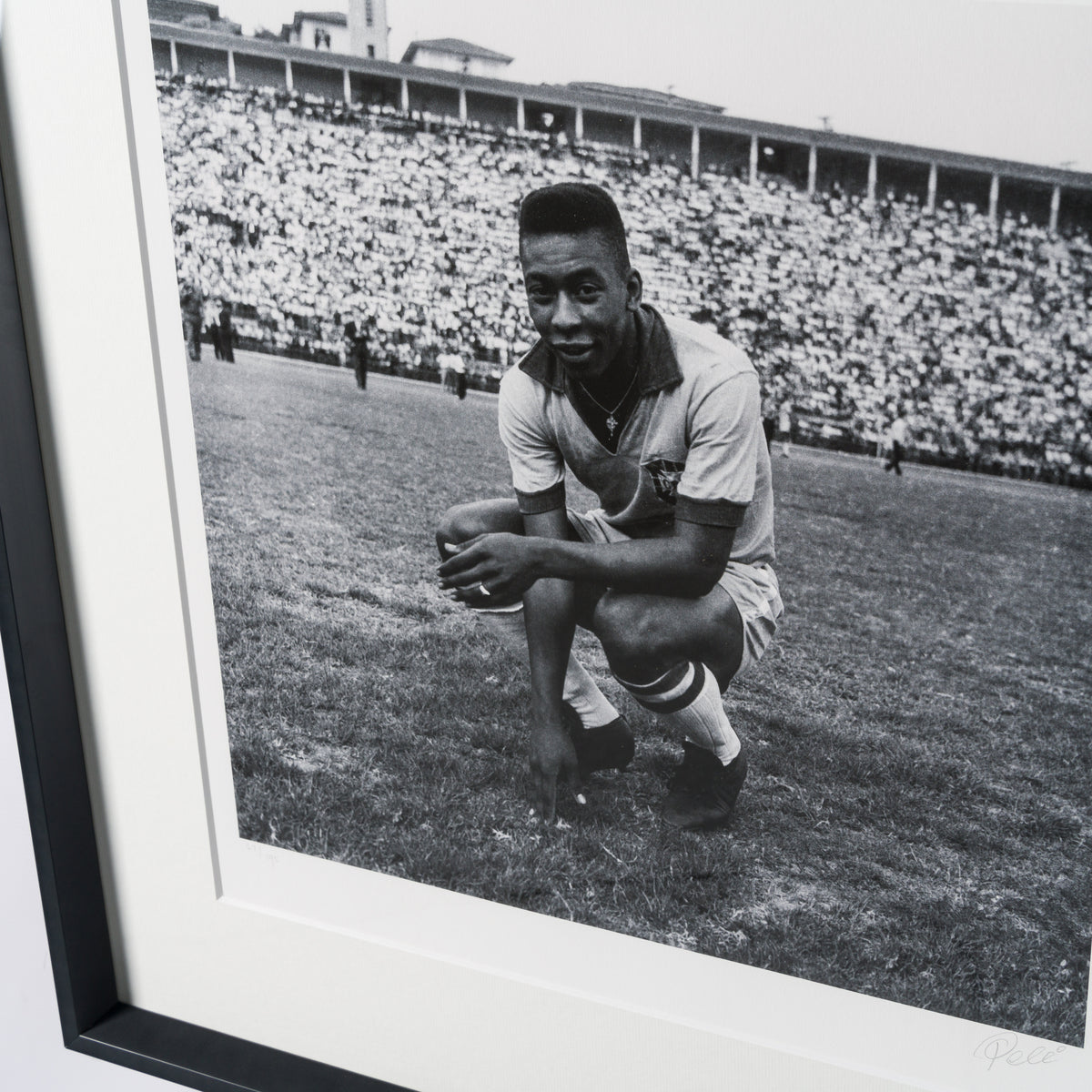 PEL SLE POR 03340 6 Brazil 30