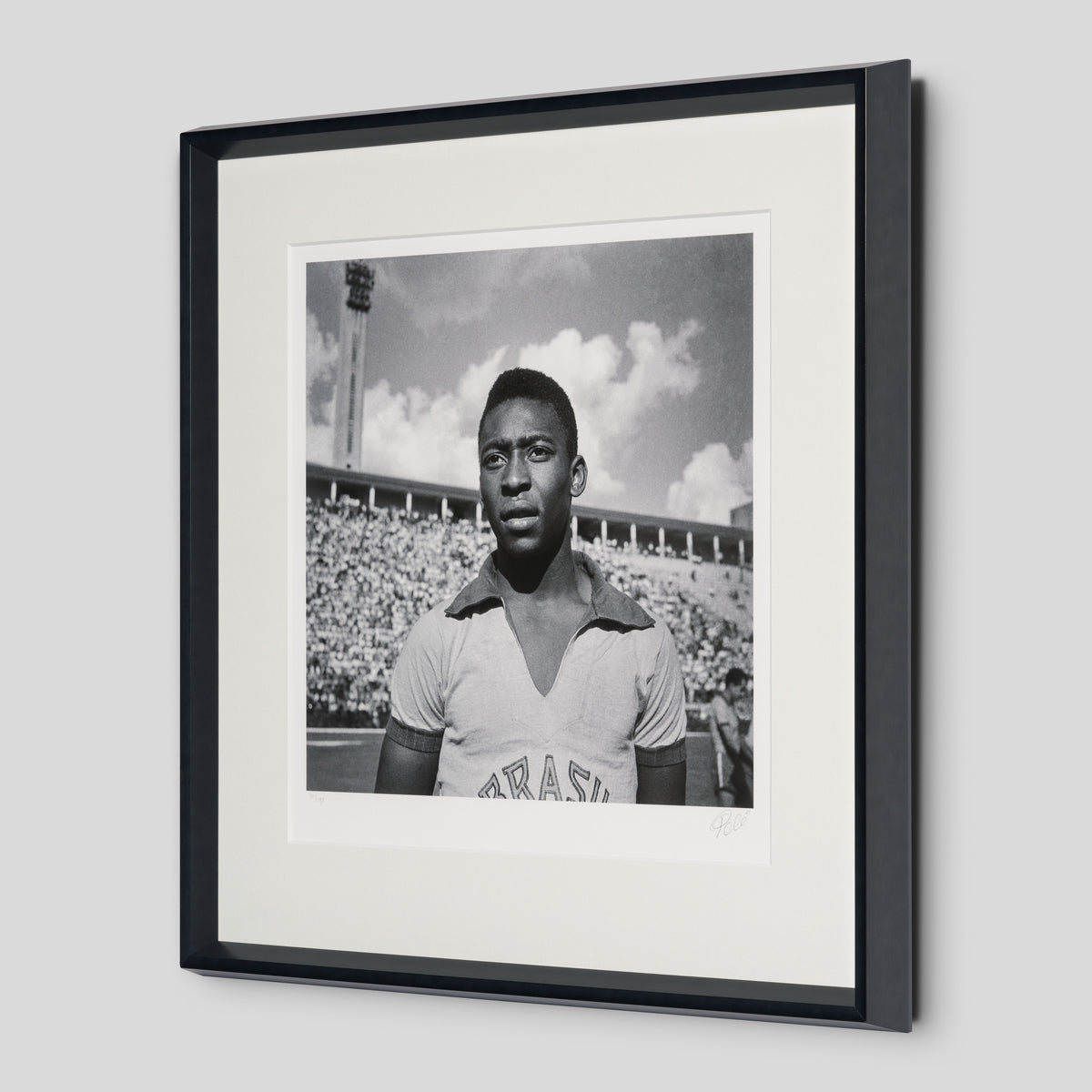 PEL SLE POR 03341 2 Pele 30