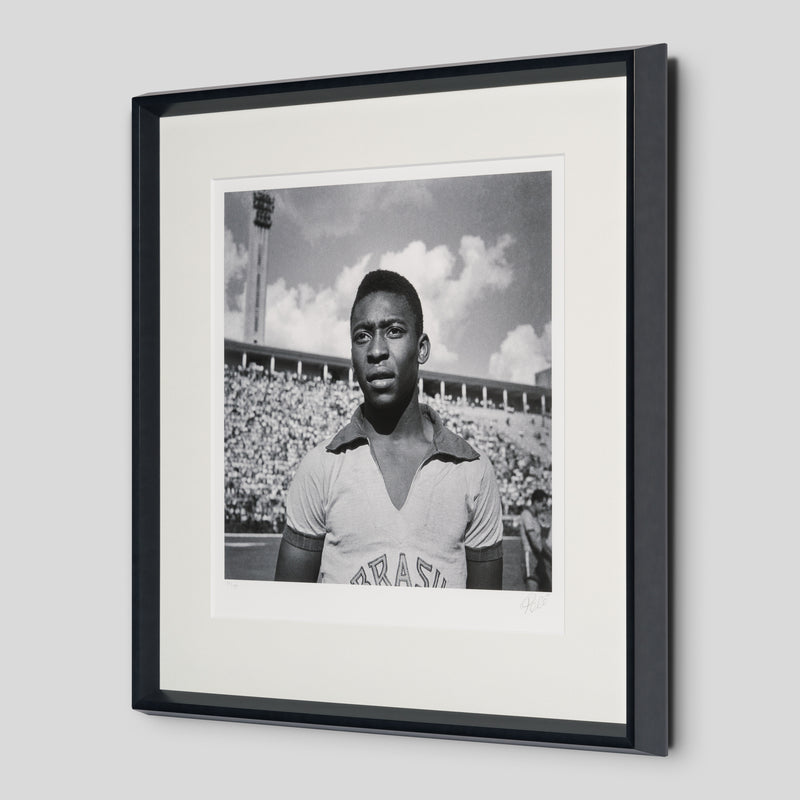 PEL SLE POR 03341 2 Pele 30