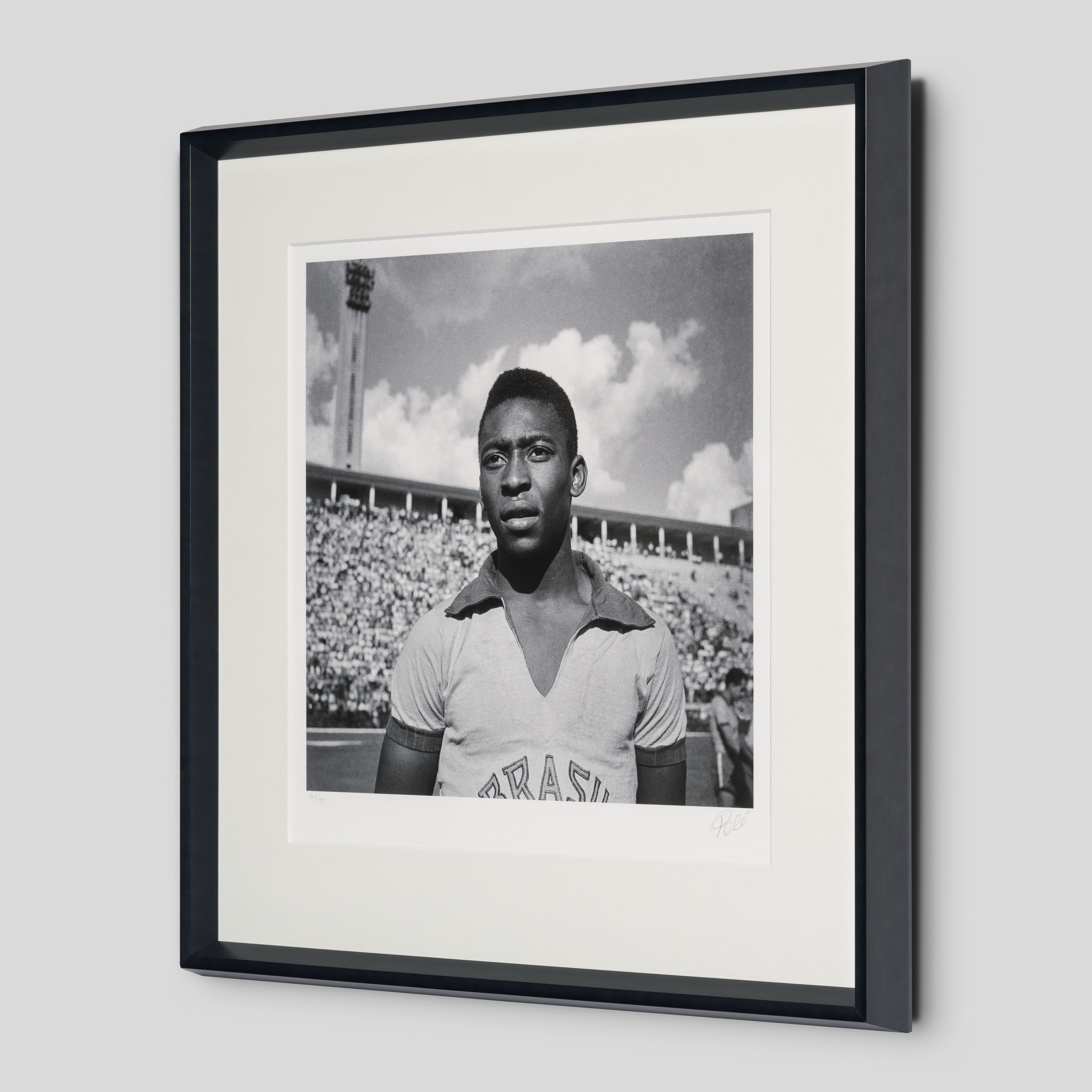 PEL SLE POR 03341 2 Pele 30