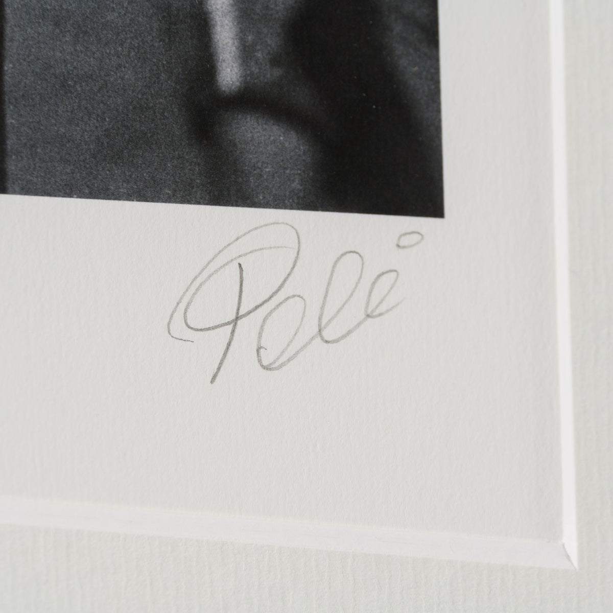 PEL SLE POR 03341 3 Pele 30