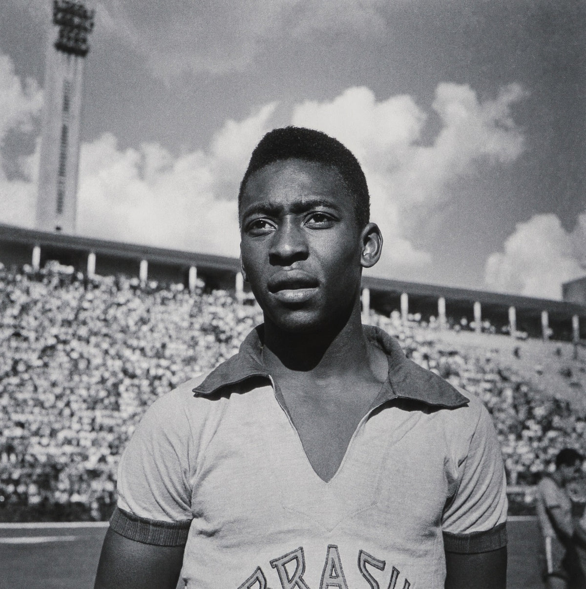 PEL SLE POR 03341 31 Pele 30