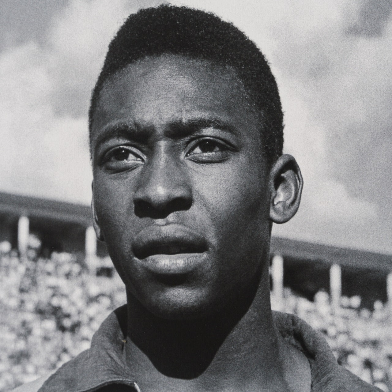 PEL SLE POR 03341 5 Pele 30