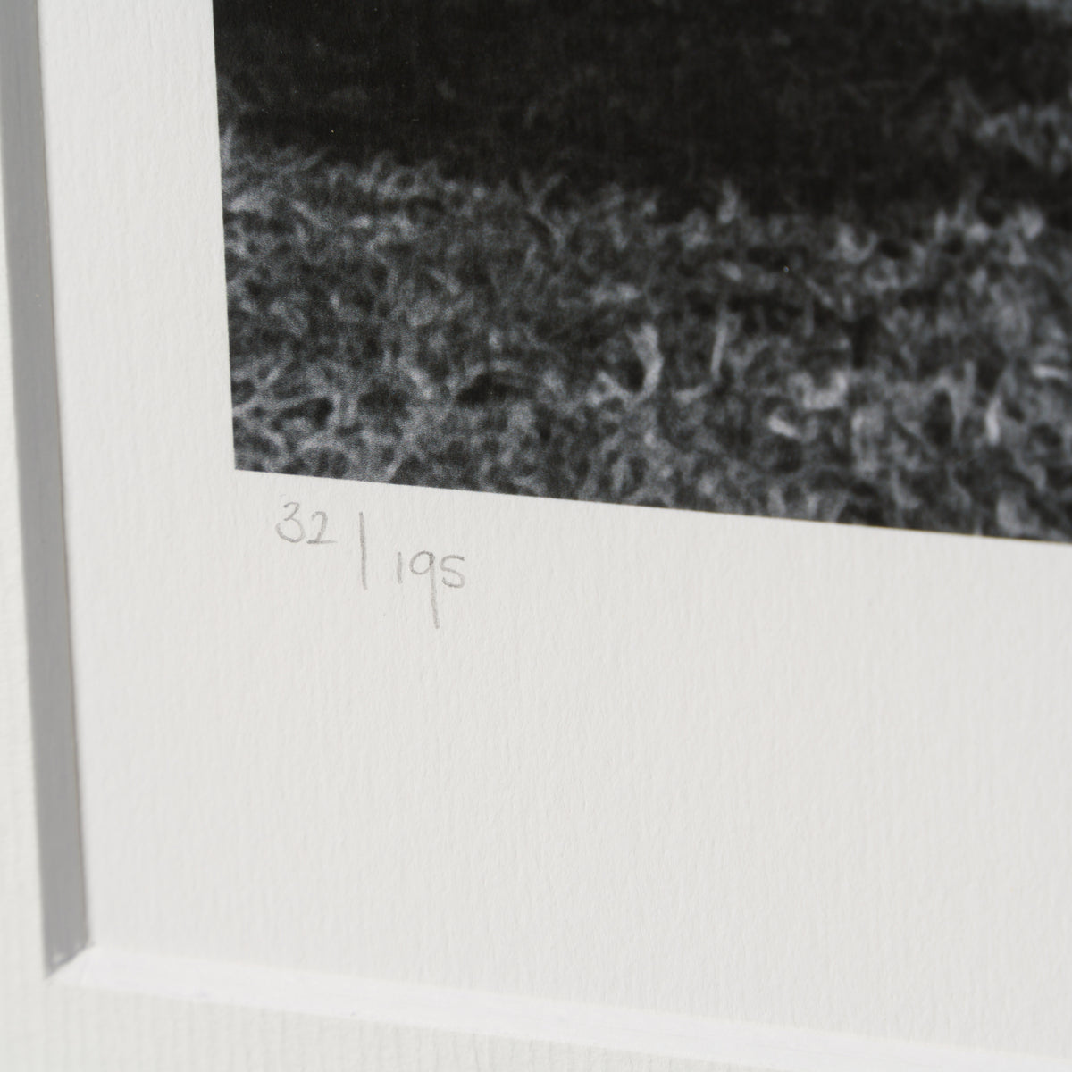 PEL SLE POR 03342 4 Training Hard 30