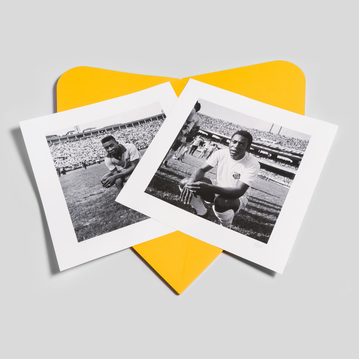 PEL SLE POR 03505 2 Boxed Set of 8