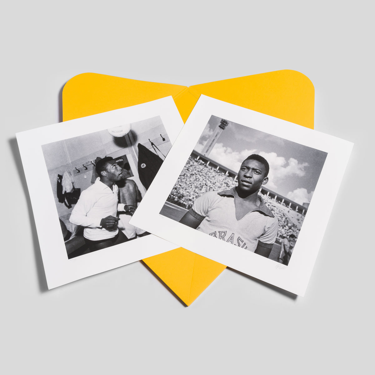 PEL SLE POR 03505 5 Boxed Set of 8