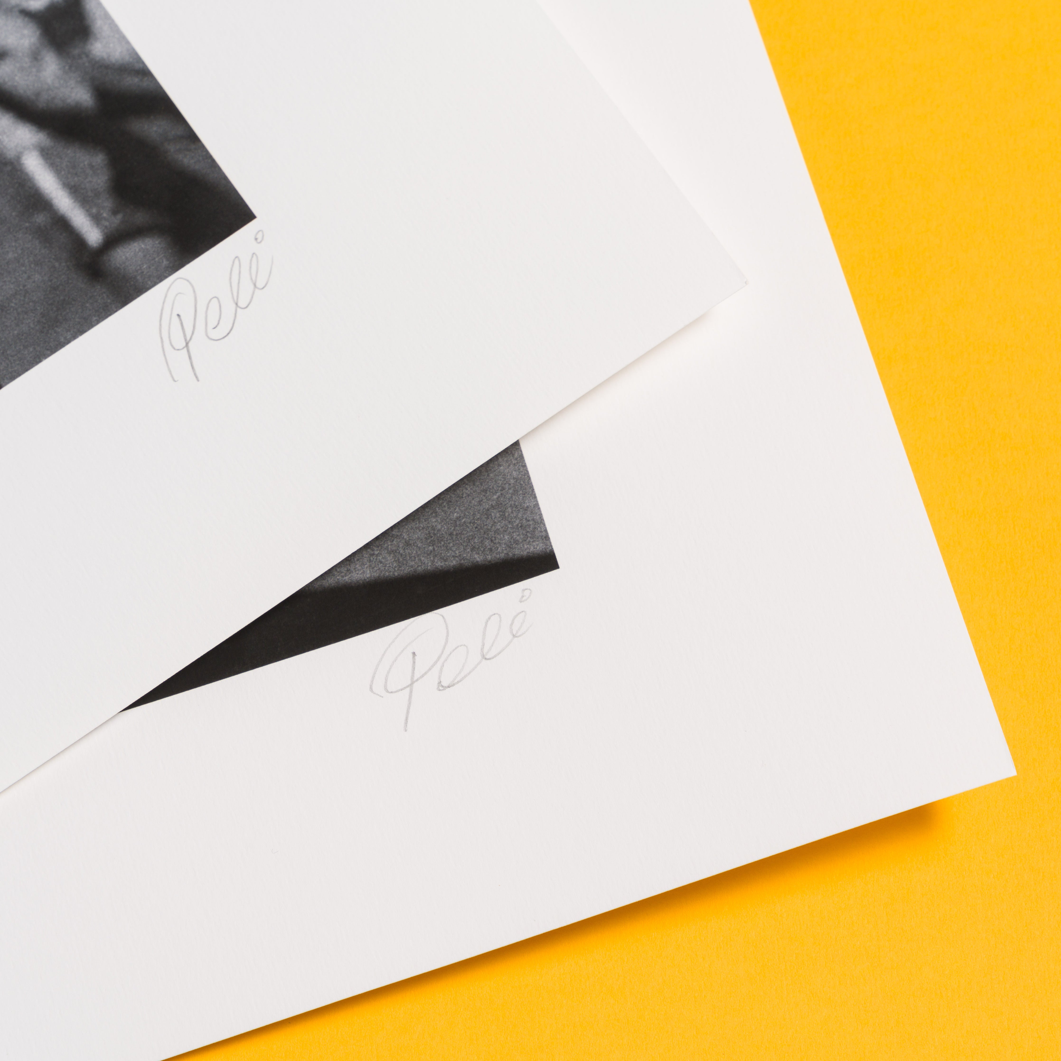 PEL SLE POR 03505 7 Boxed Set of 8