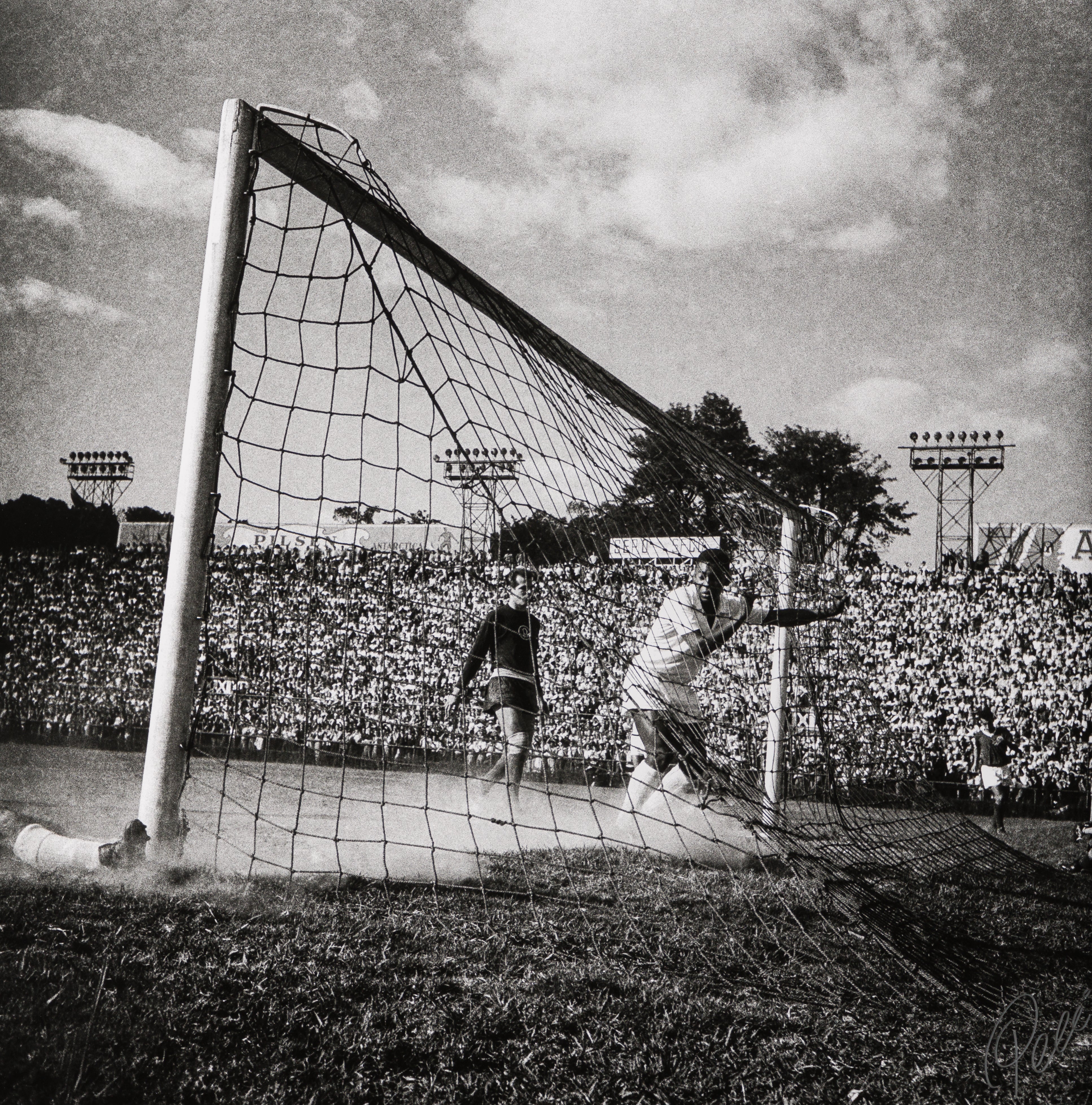 PEL SLE POR 03507 31 Back Of The Net 40