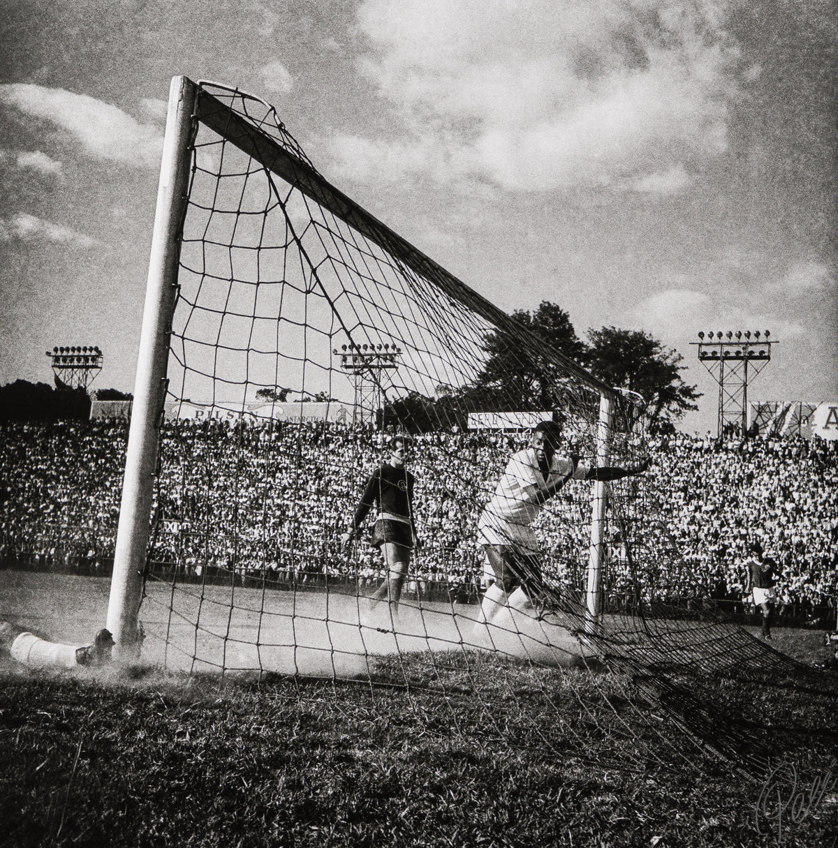 PEL SLE POR 03507 31 Back Of The Net 40