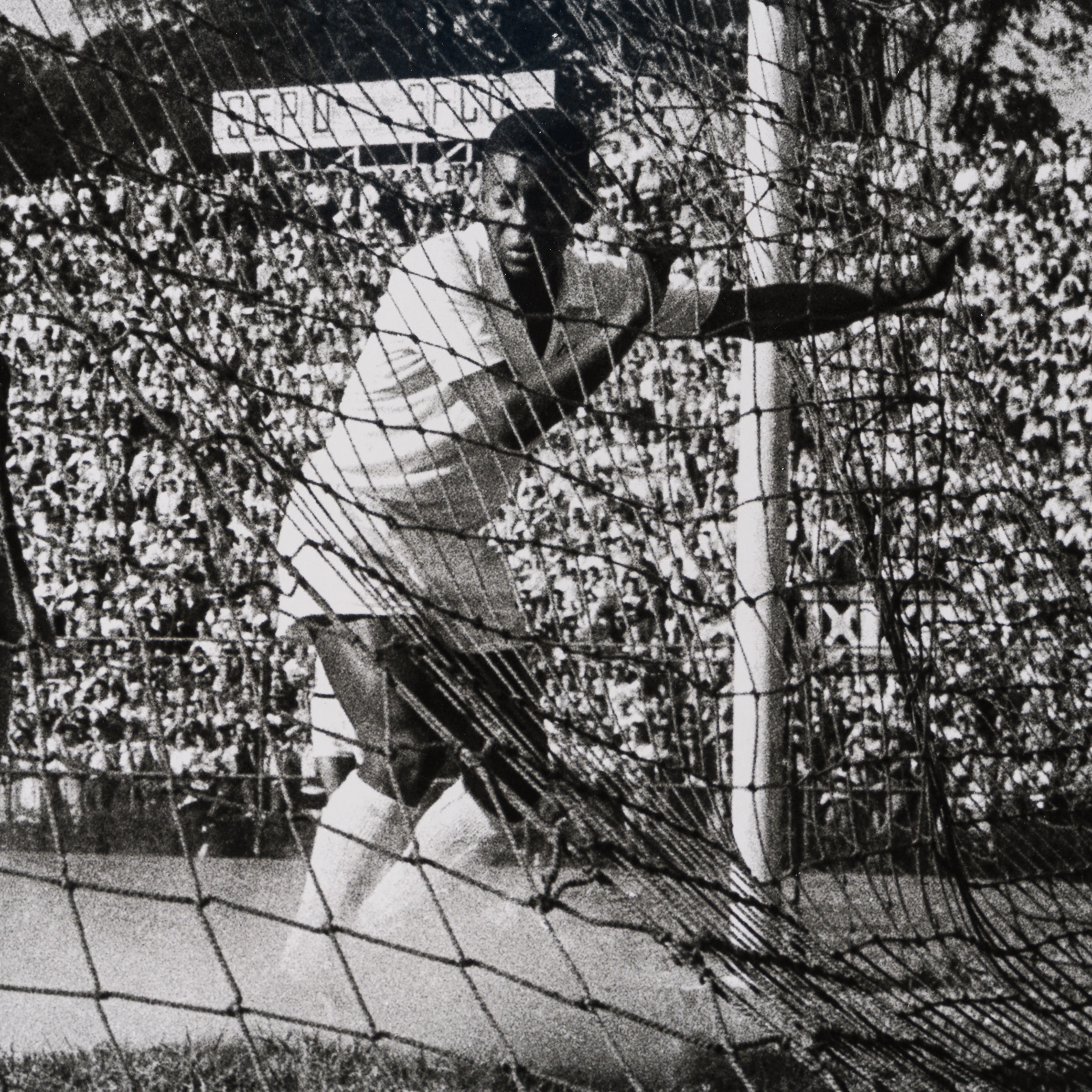 PEL SLE POR 03507 4 Back Of The Net 40