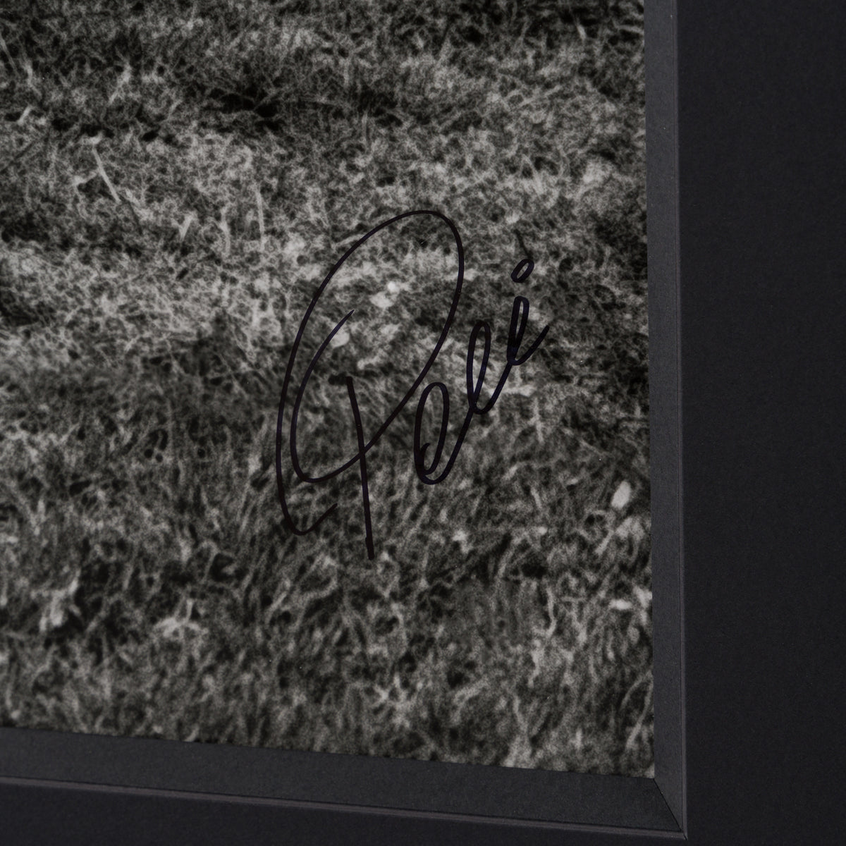 Brazil (Silver Gelatin 40x40)