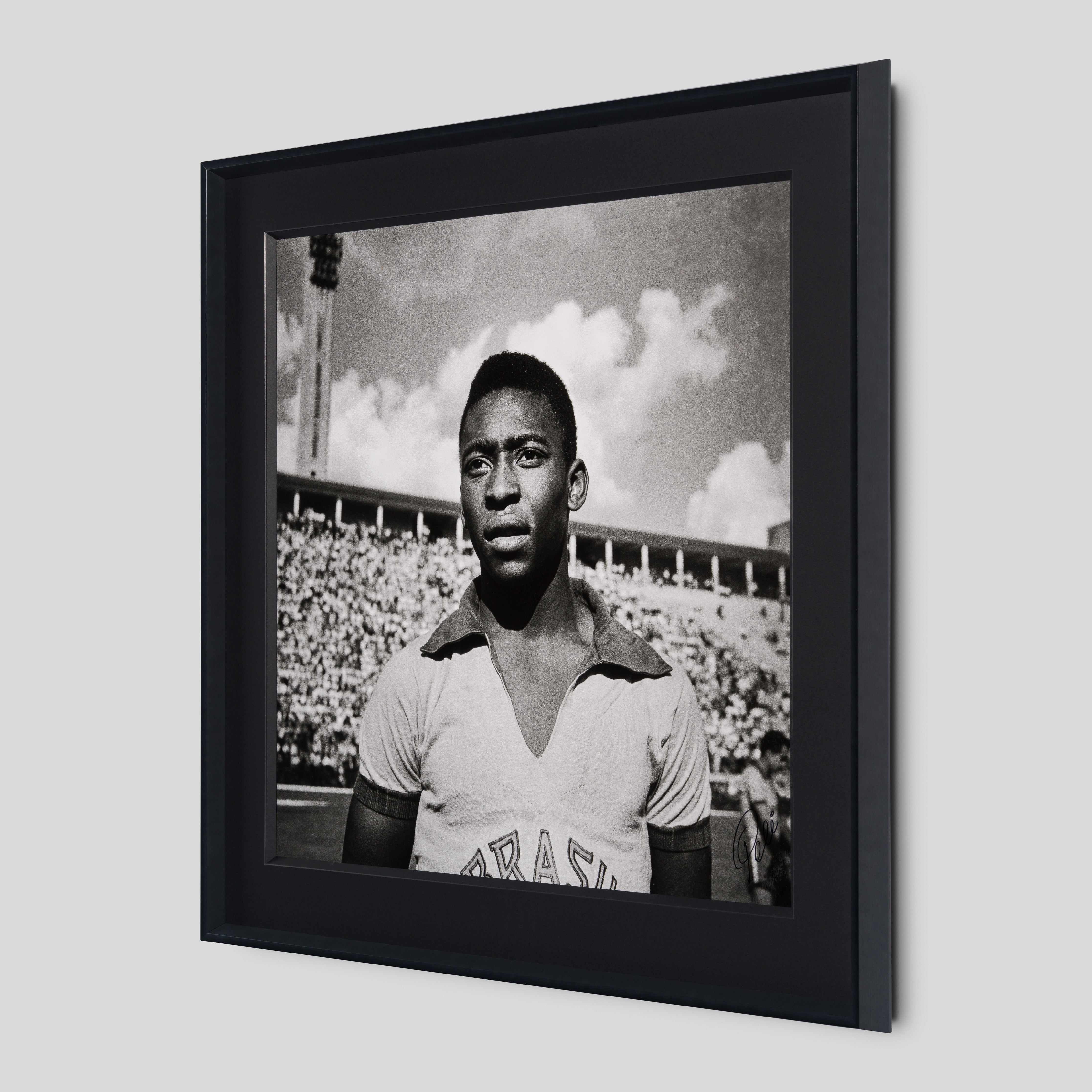 PEL SLE POR 03509 2 Pele 40