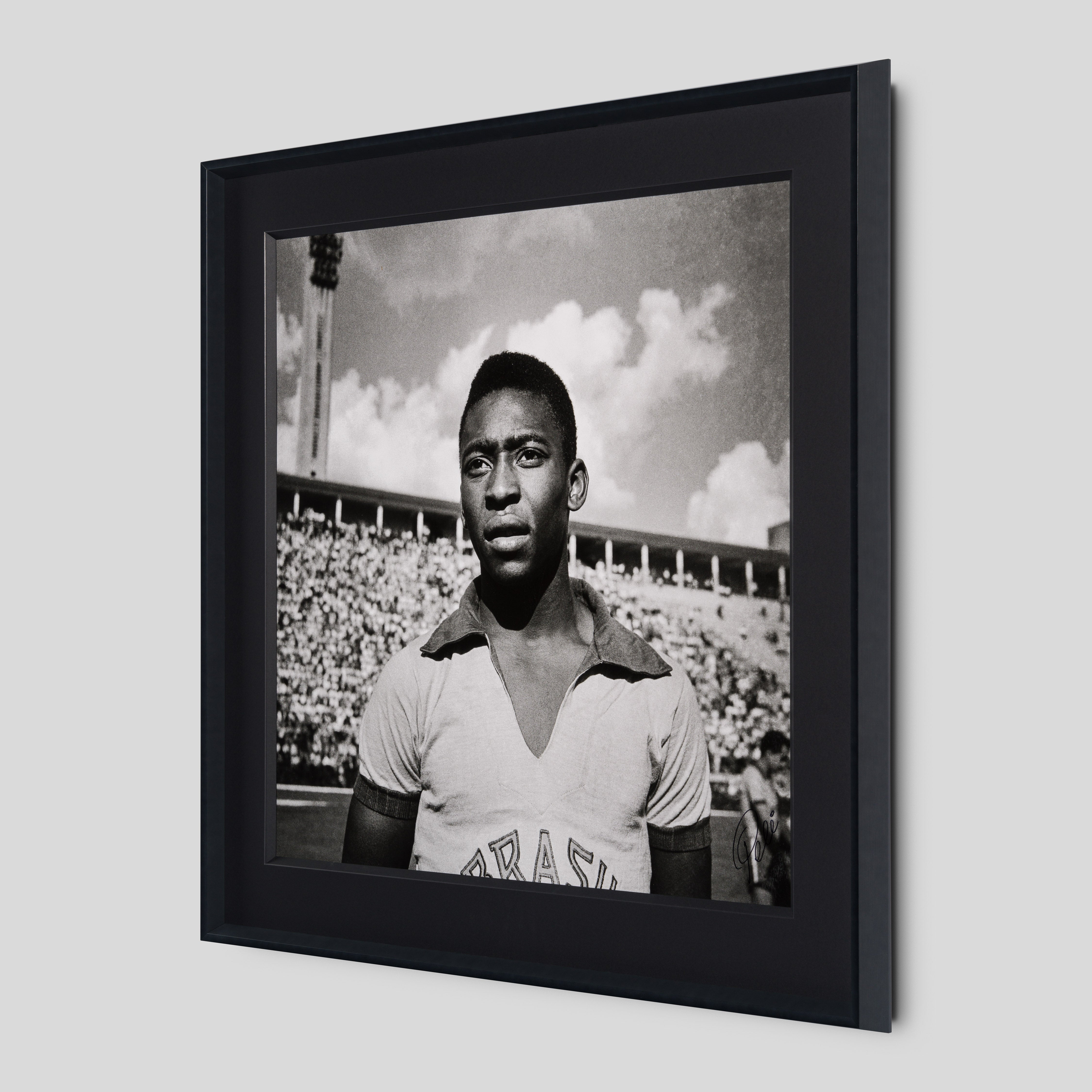 PEL SLE POR 03509 2 Pele 40