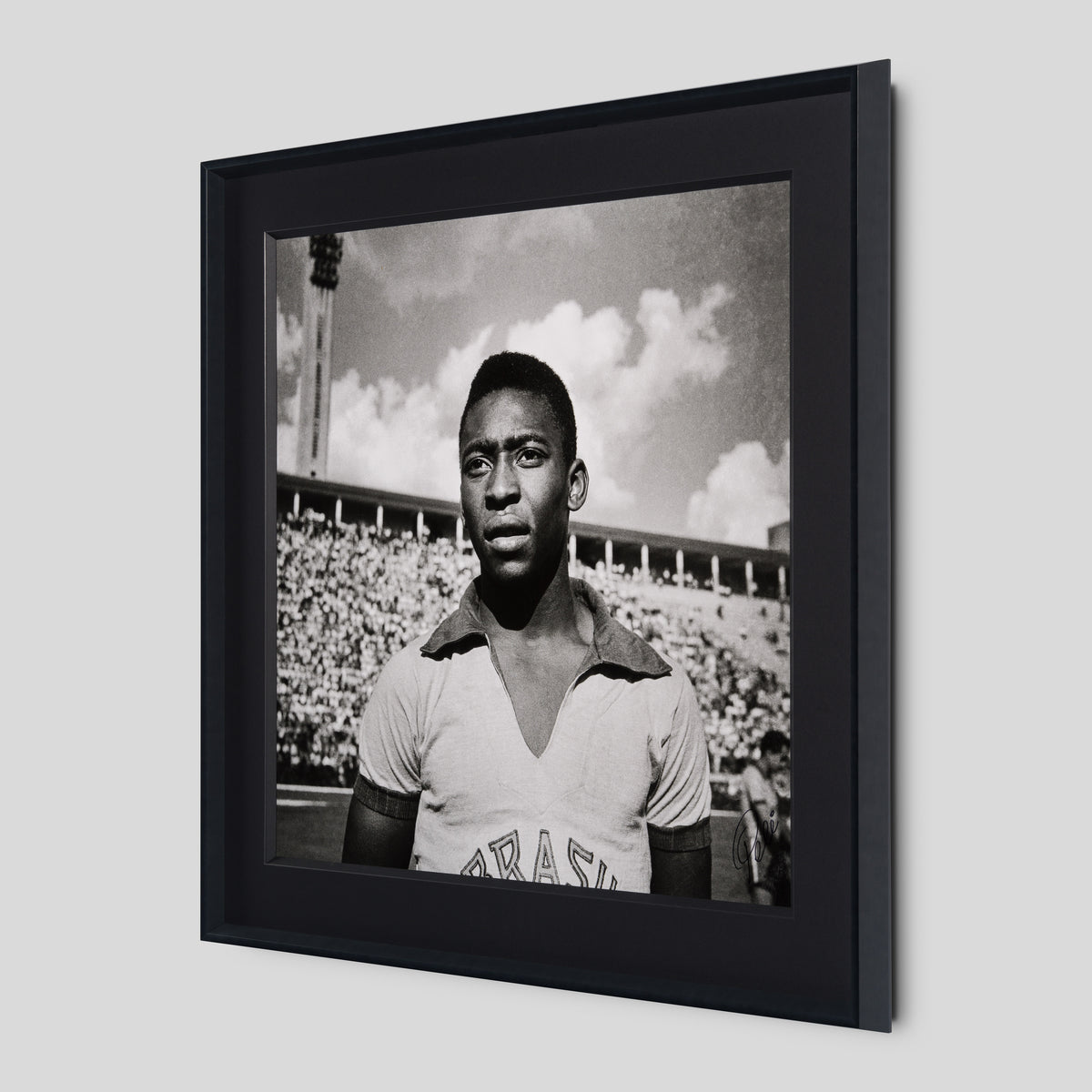 PEL SLE POR 03509 2 Pele 40