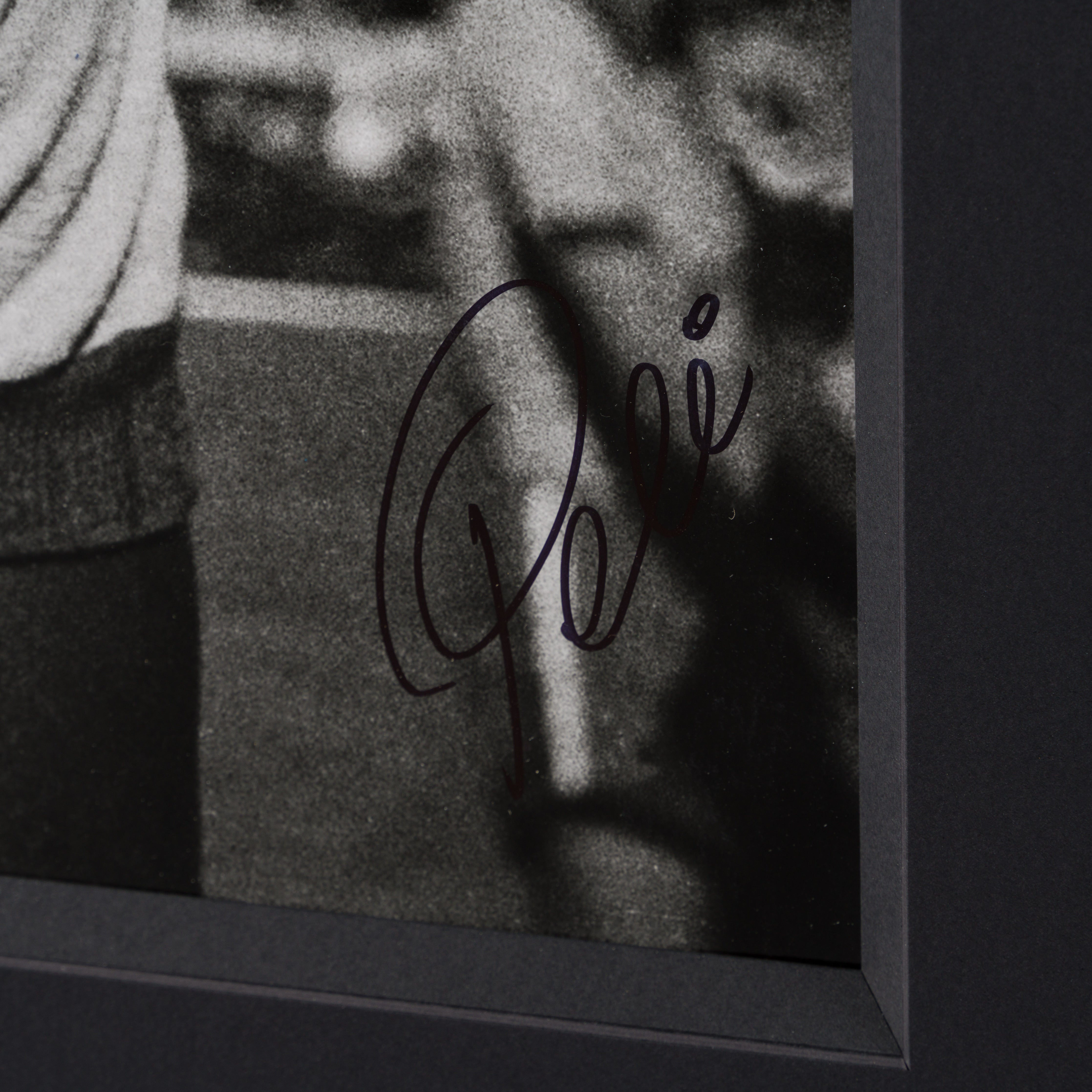 PEL SLE POR 03509 3 Pele 40