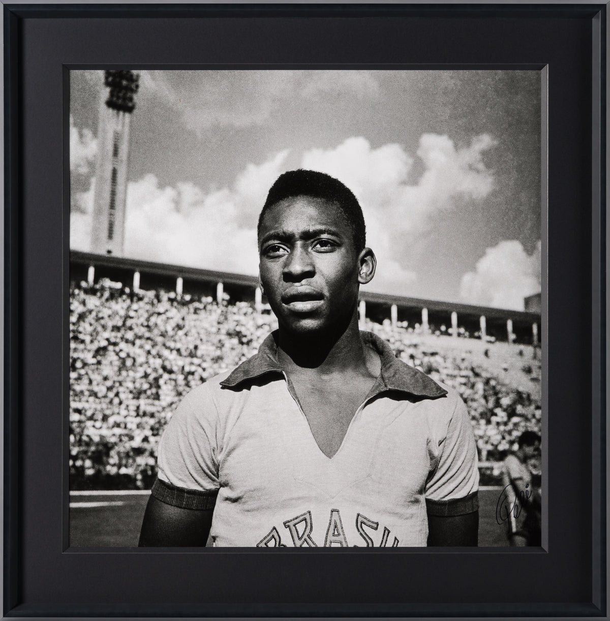 PEL SLE POR 03509 30 Pele 40