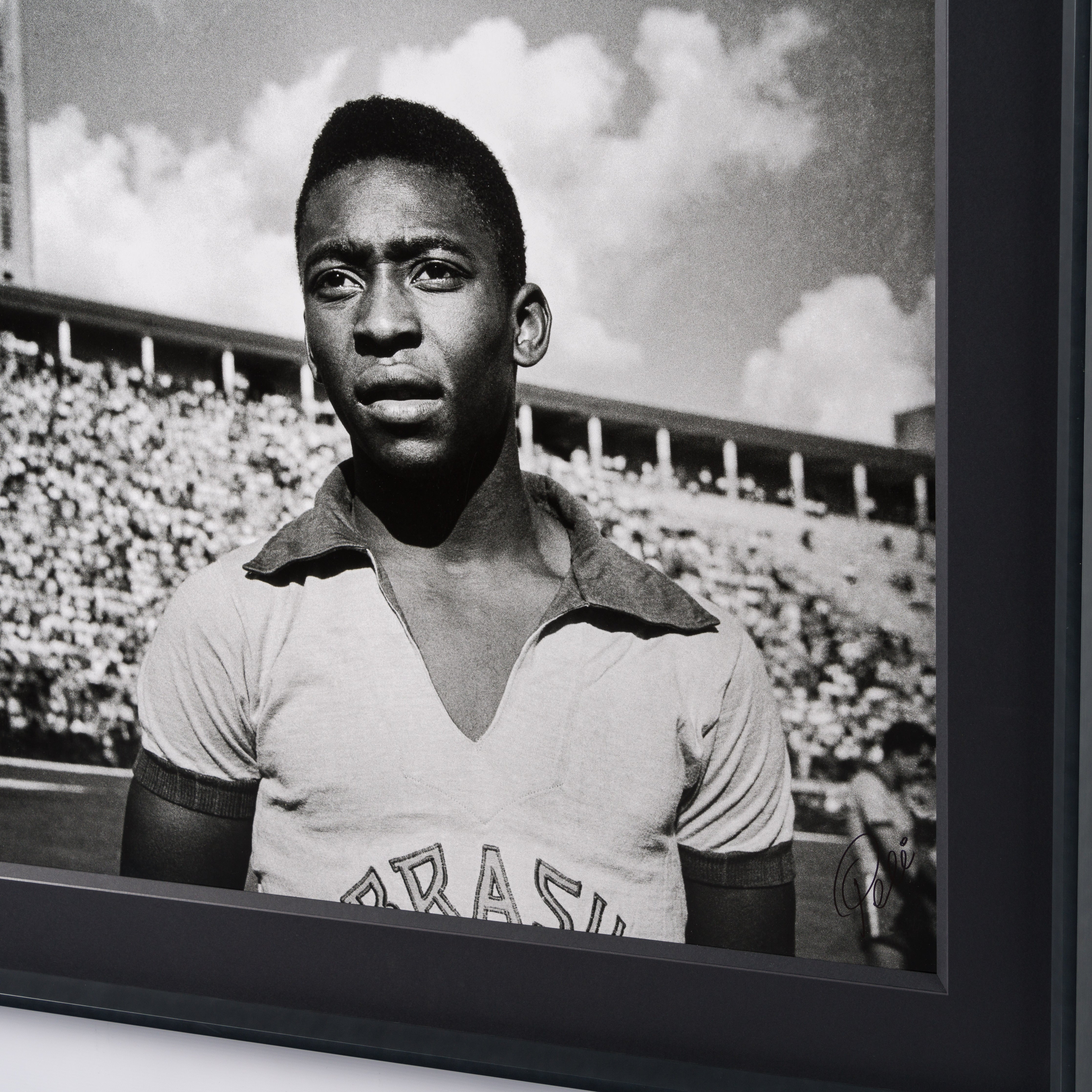 PEL SLE POR 03509 5 Pele 40