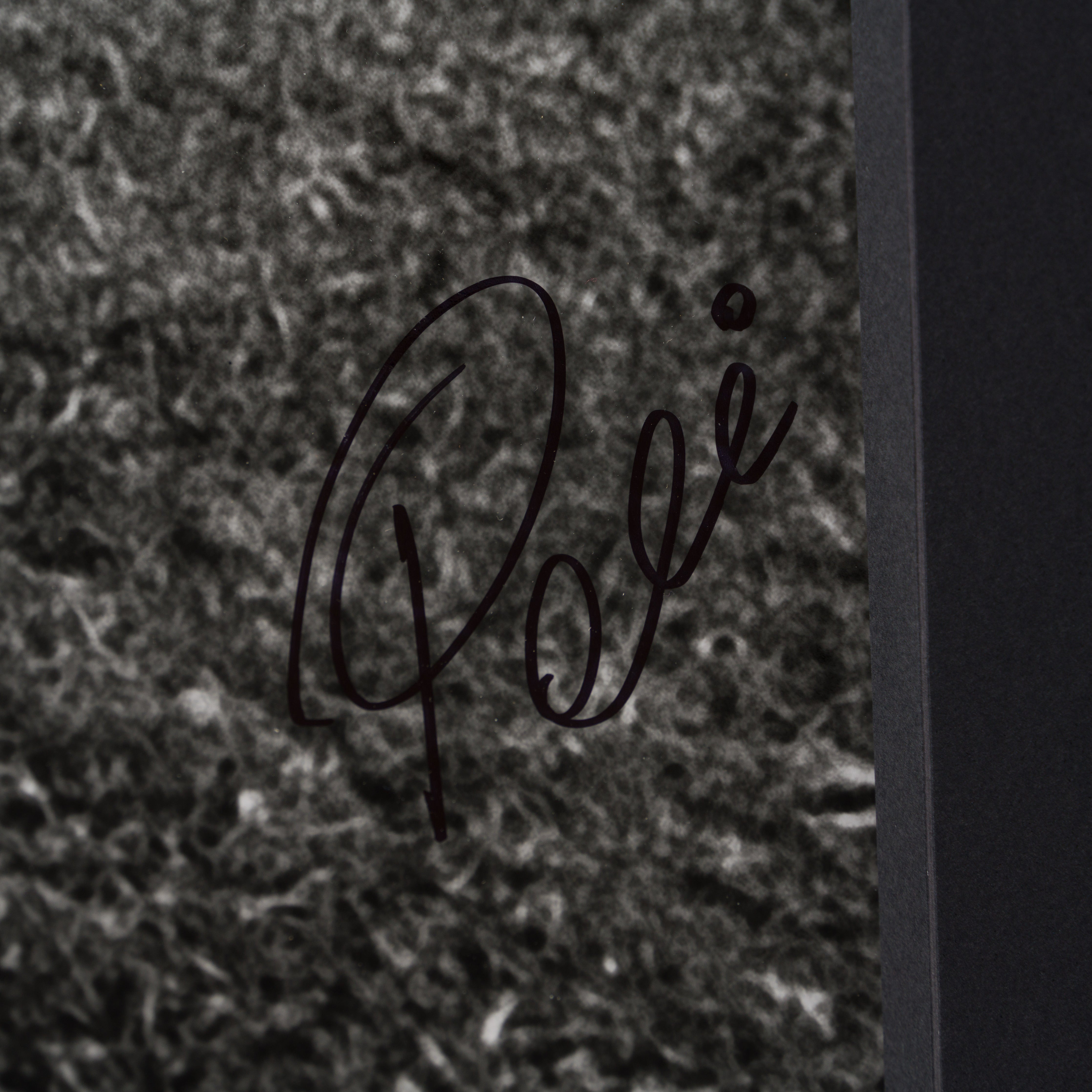 PEL SLE POR 03510 3 Training Hard 40