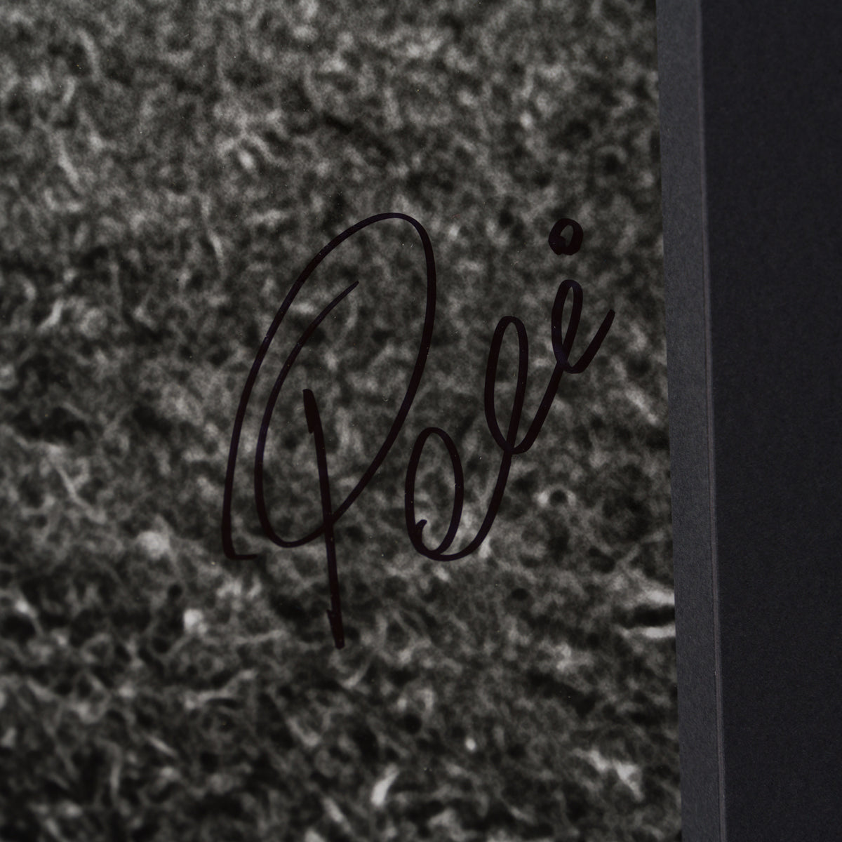 PEL SLE POR 03510 3 Training Hard 40