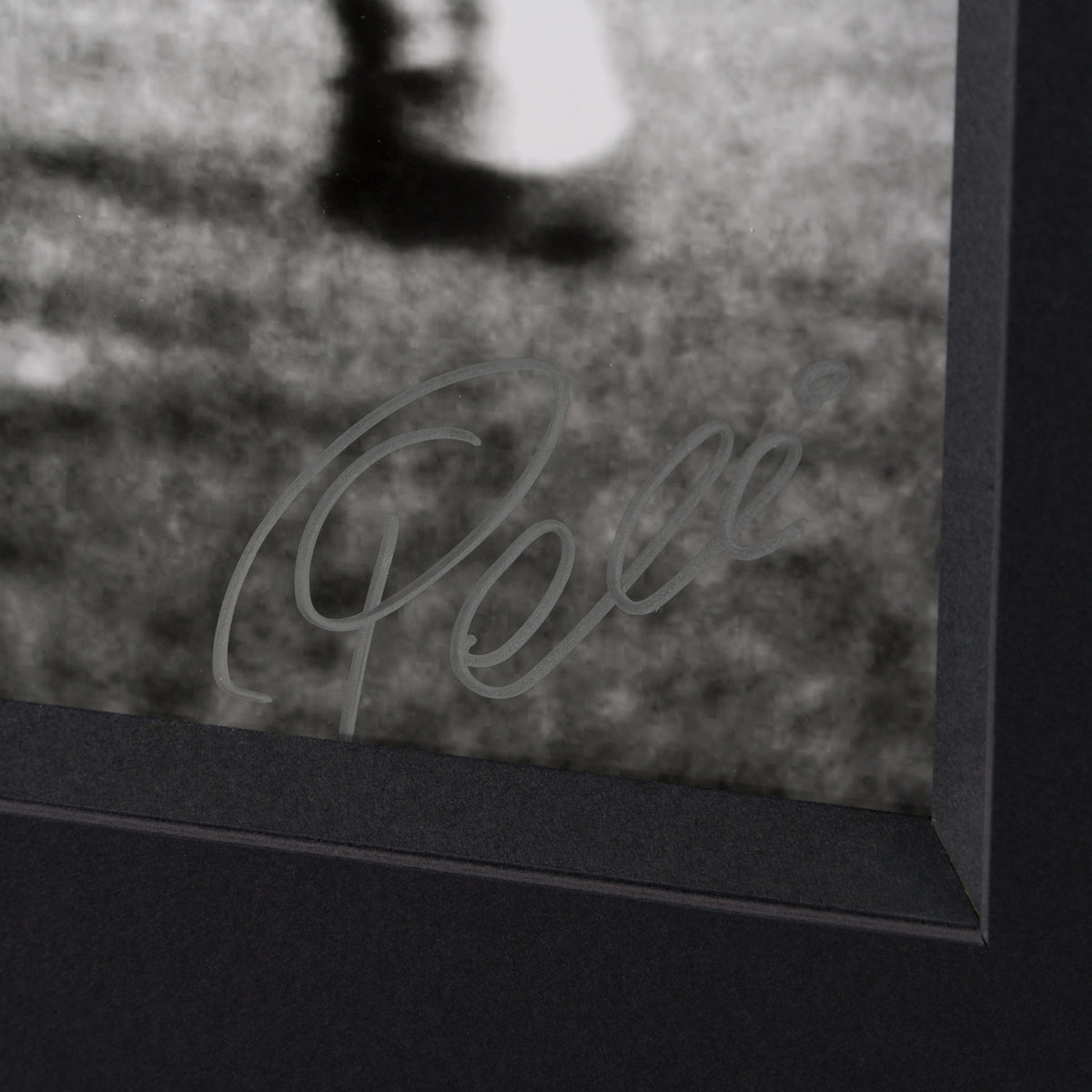 PEL SLE POR 04717 3 Bicycle Kick 30 x 40