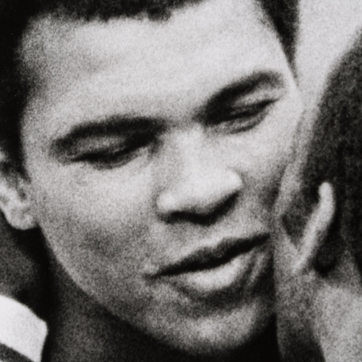 PEL SLE POR 05052 4 Pele Ali 30x30