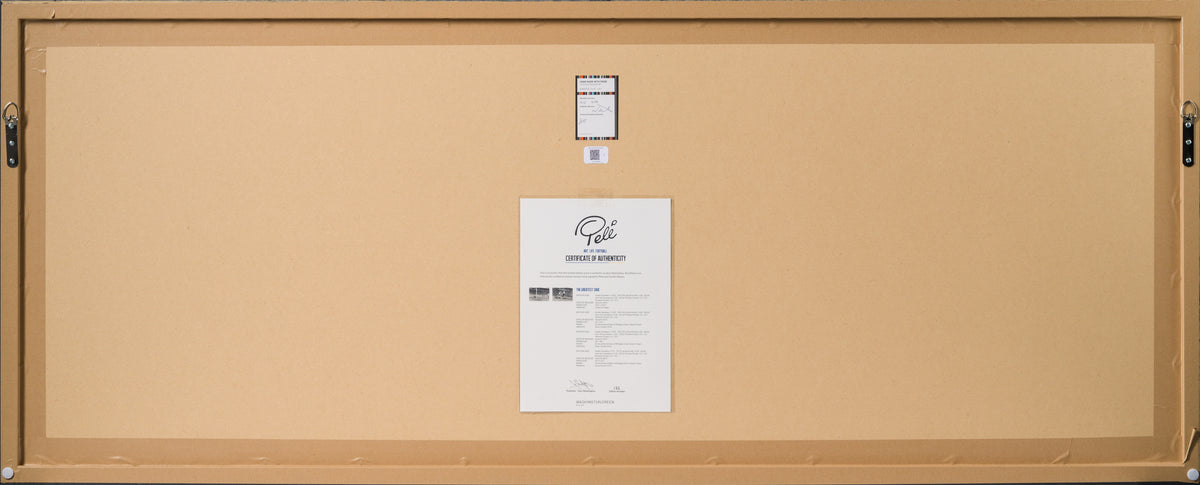 PEL SLE POR 05061 11 Greatest Save 24x63