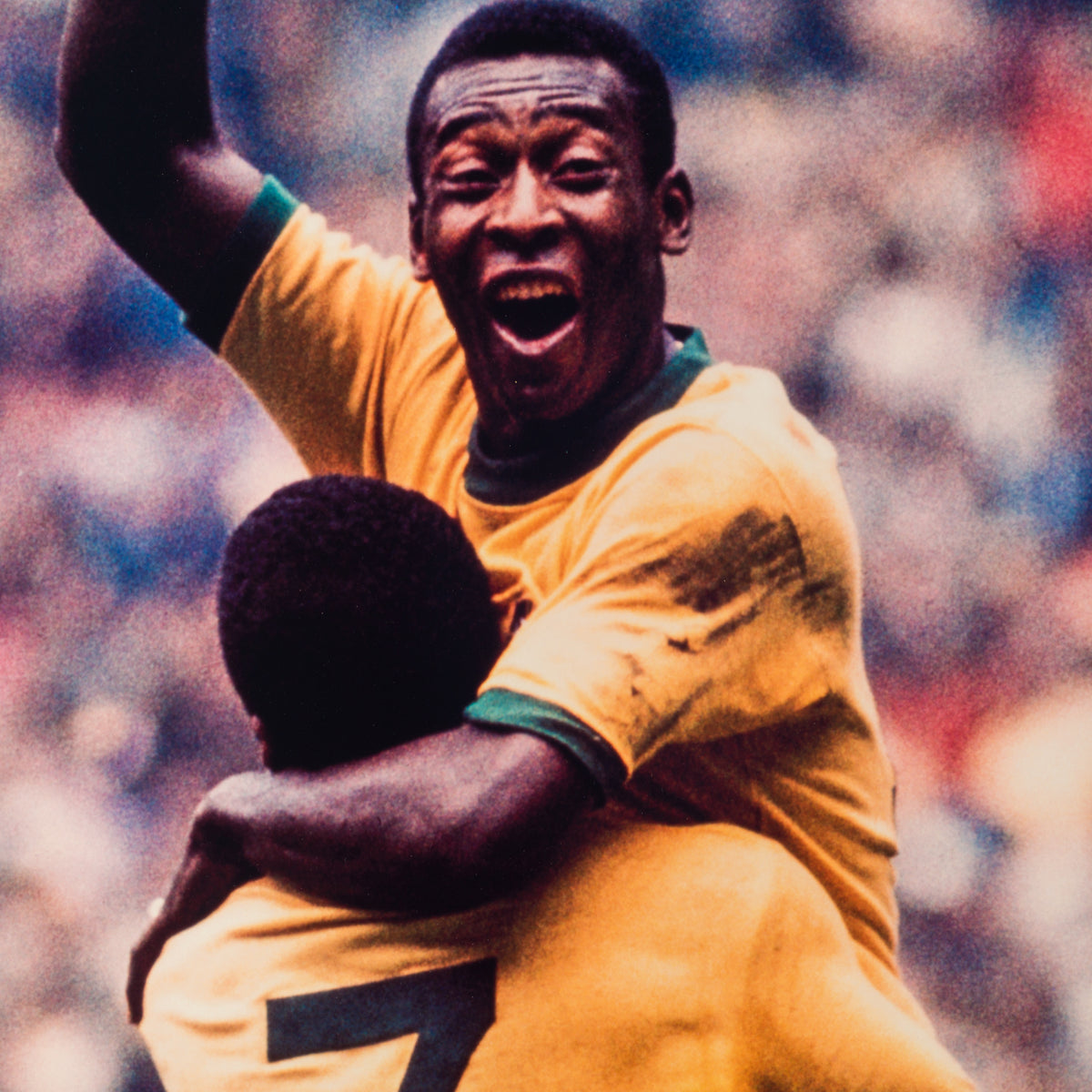 PEL SLE POR 05068 5 World Cup Fina 30x40