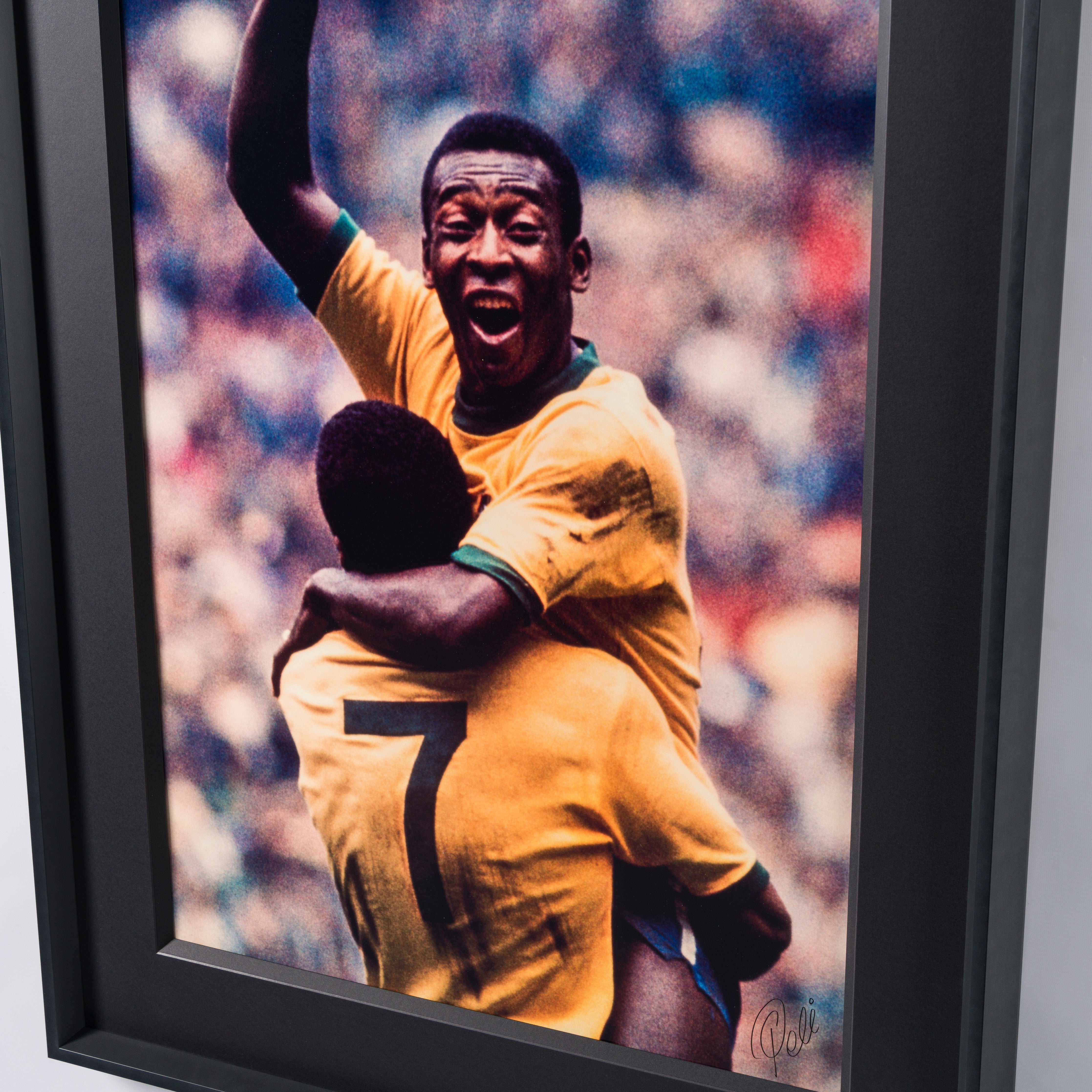 PEL SLE POR 05068 6 World Cup Fina 30x40