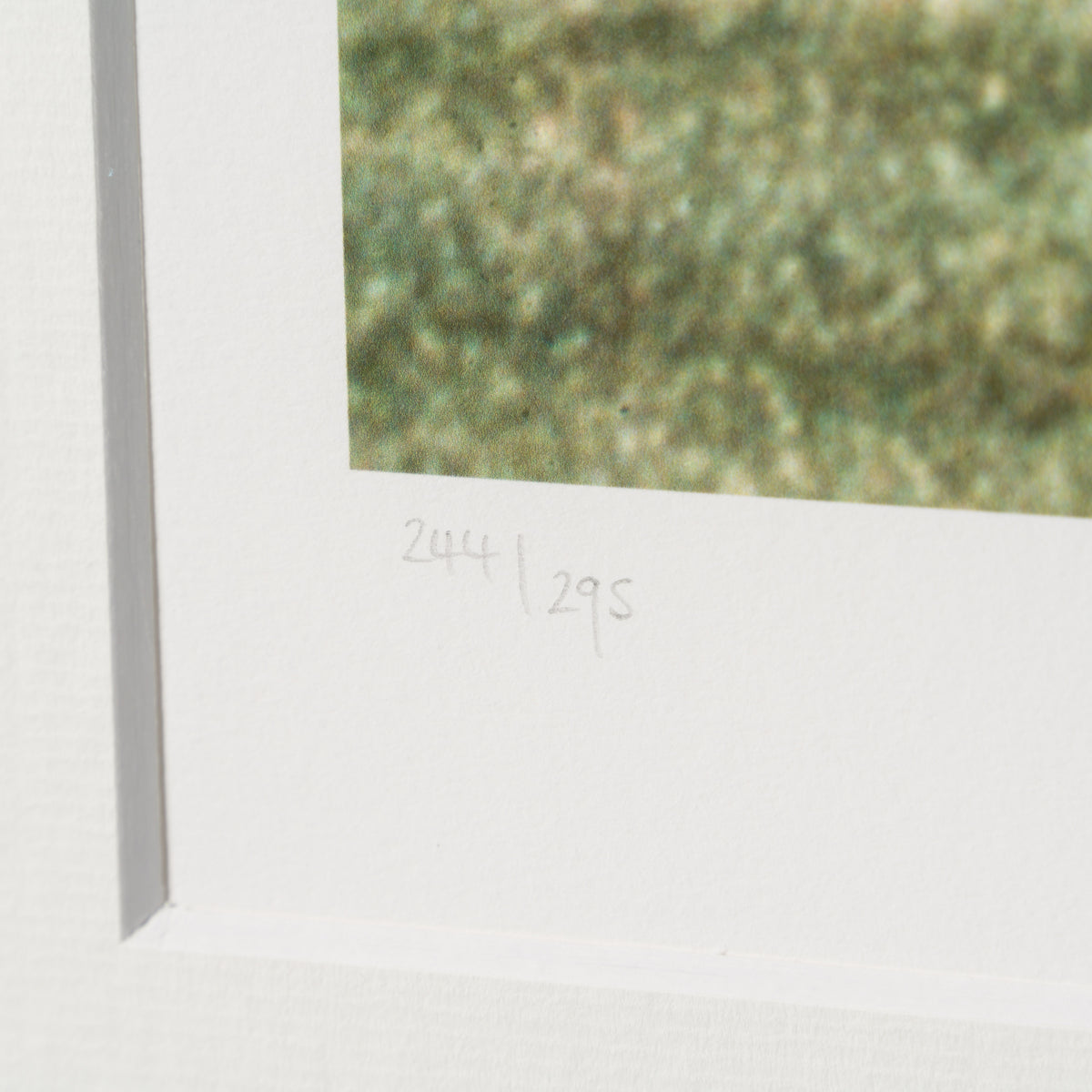 PEL SLE POR 07034 4 Pele Scores! World C