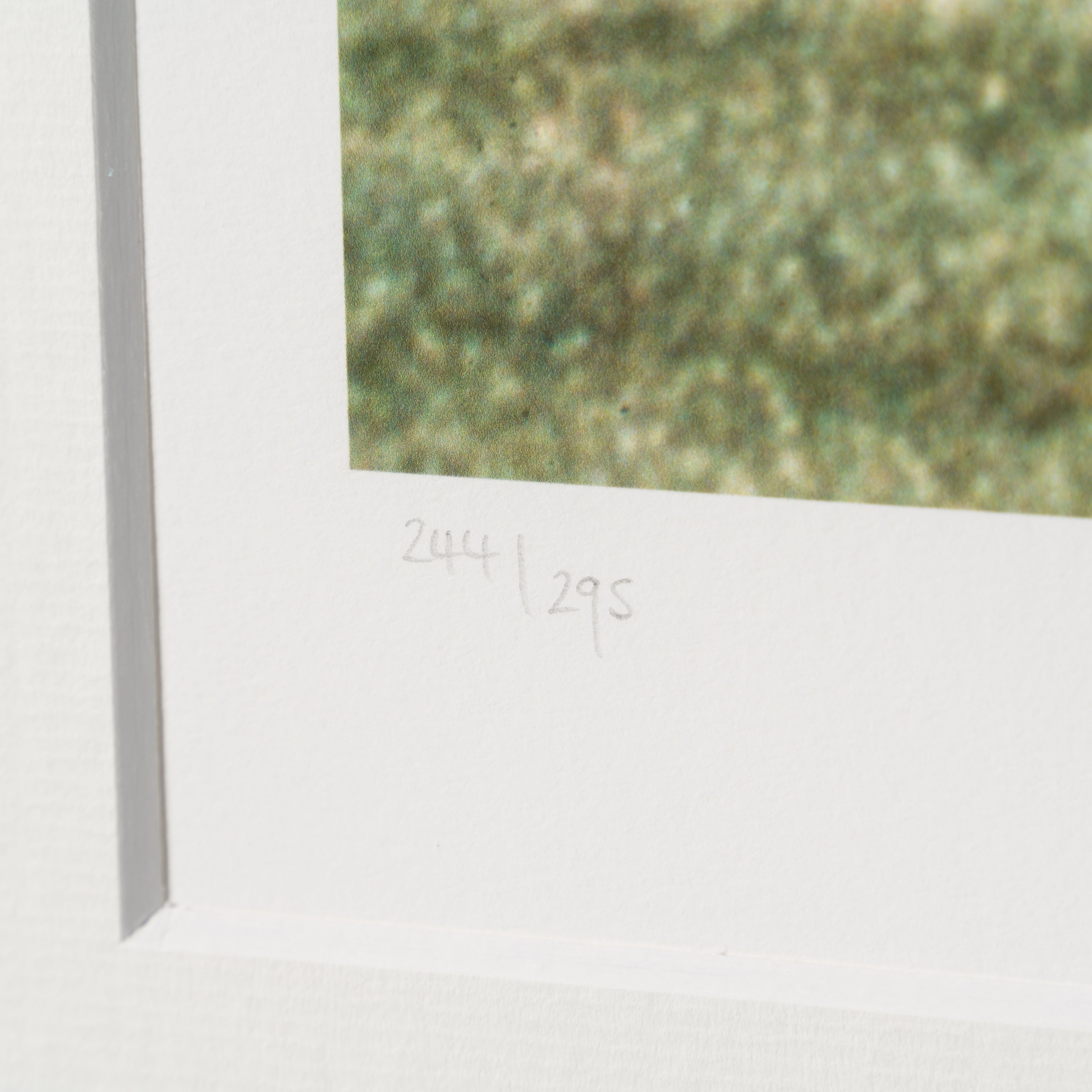 PEL SLE POR 07034 4 Pele Scores! World C