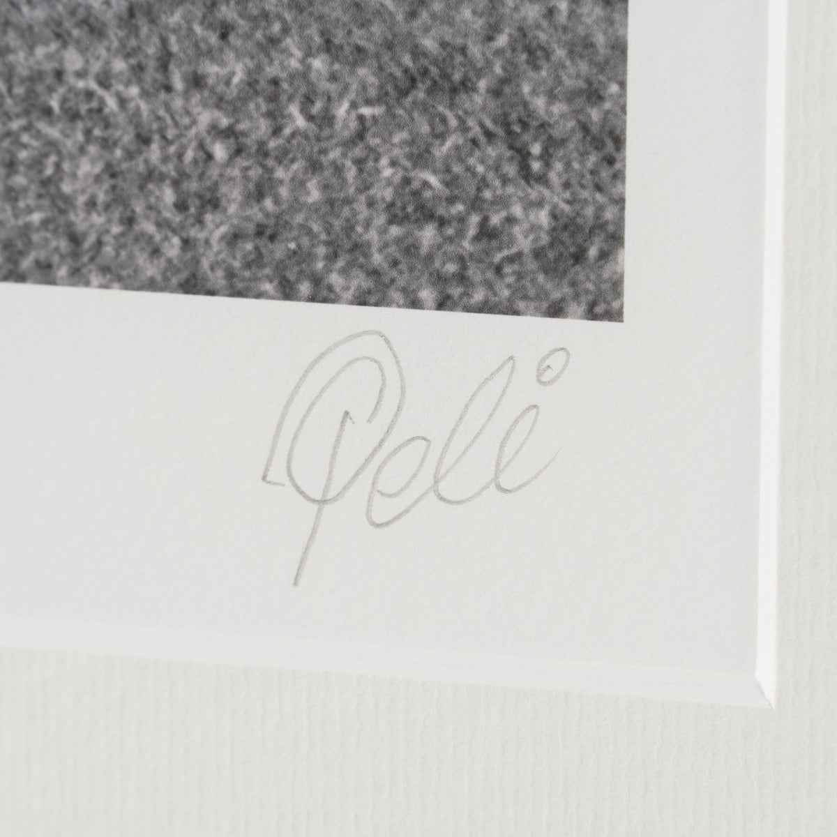 PEL SLE POR 07036 3 Attack!