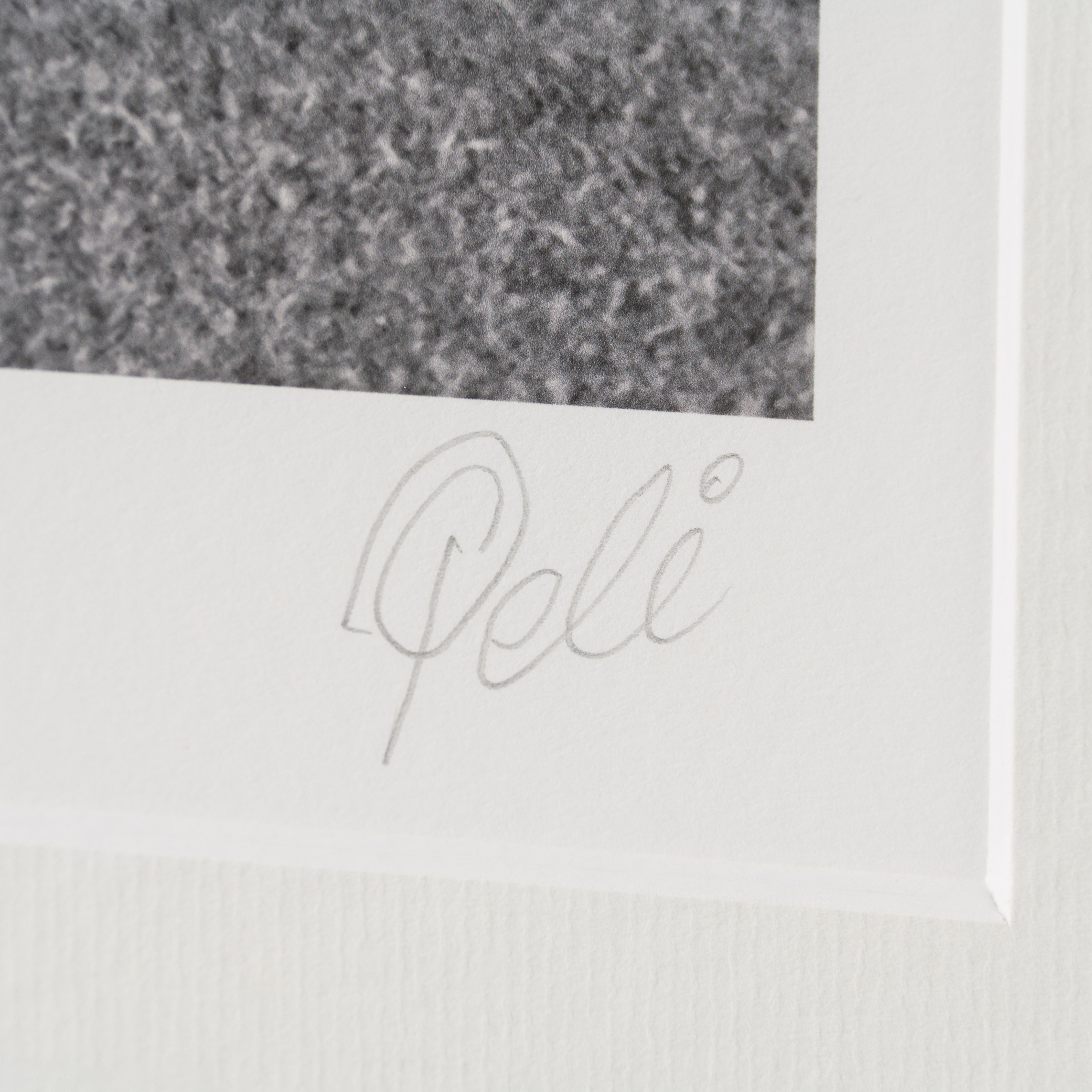 PEL SLE POR 07036 3 Attack!