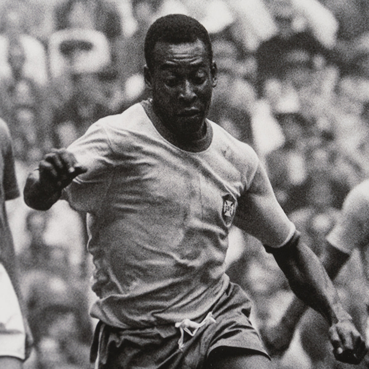 PEL SLE POR 07036 5 Attack!