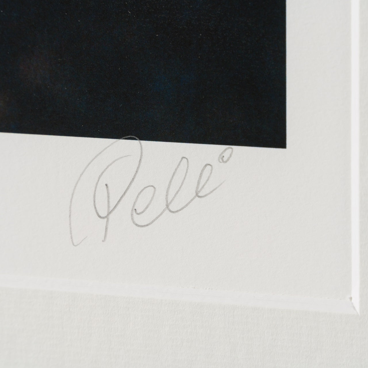 PEL SLE POR 07038 3 The Heart Of The King