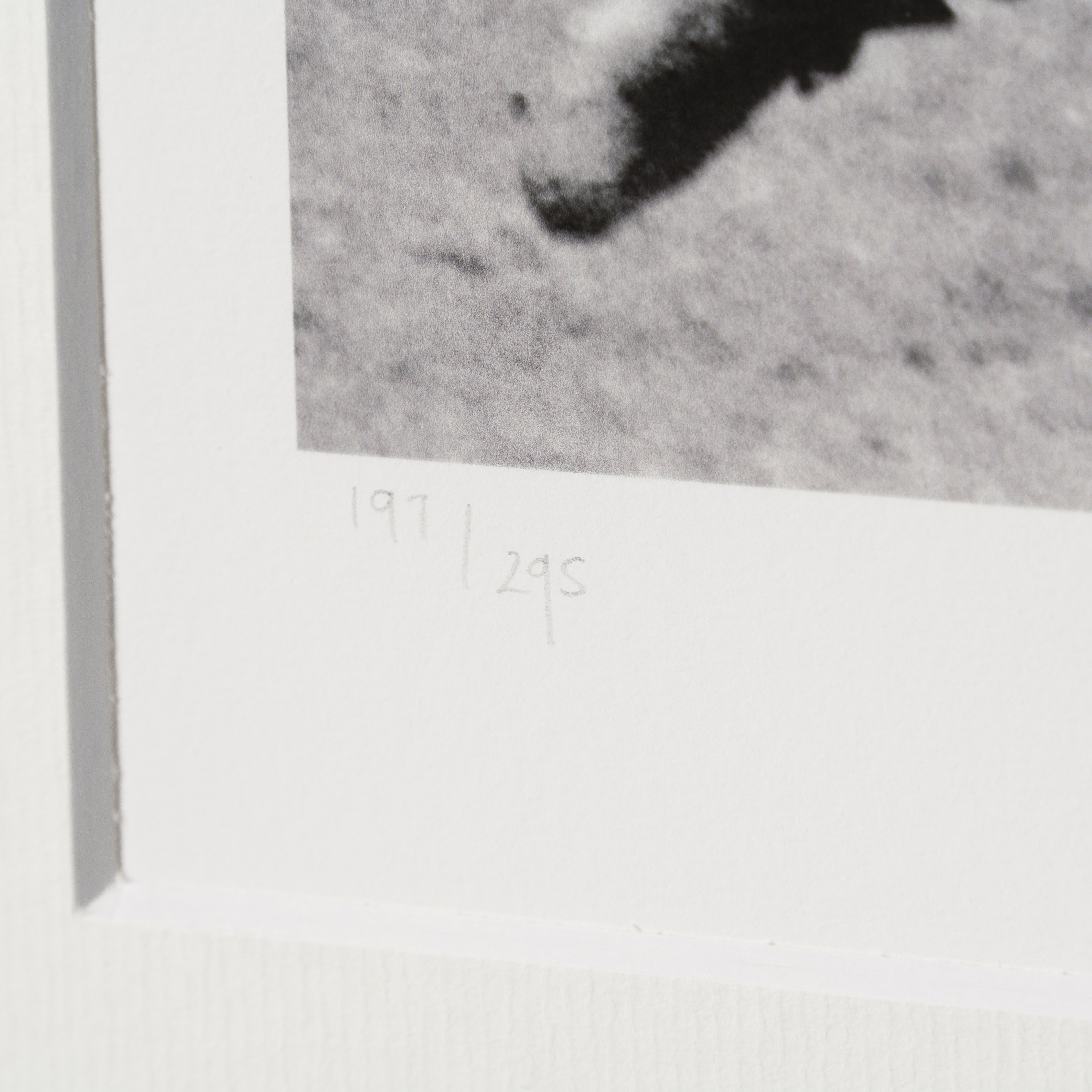 PEL SLE POR 07039 4 Unstoppable!