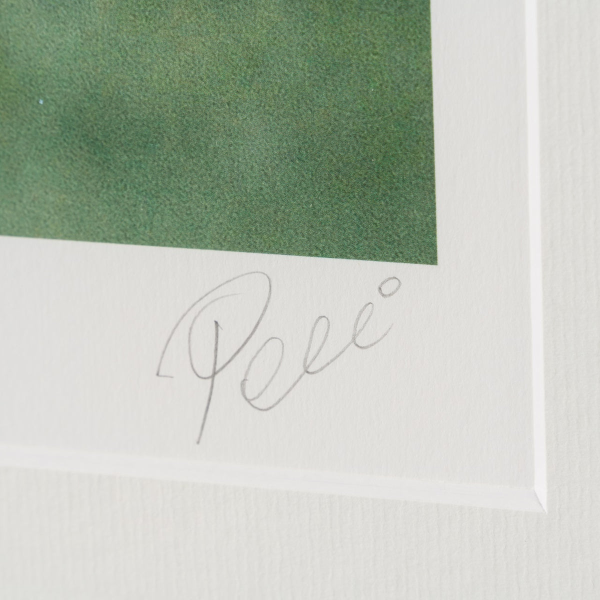 PEL SLE POR 07040 3 New York Cosmos