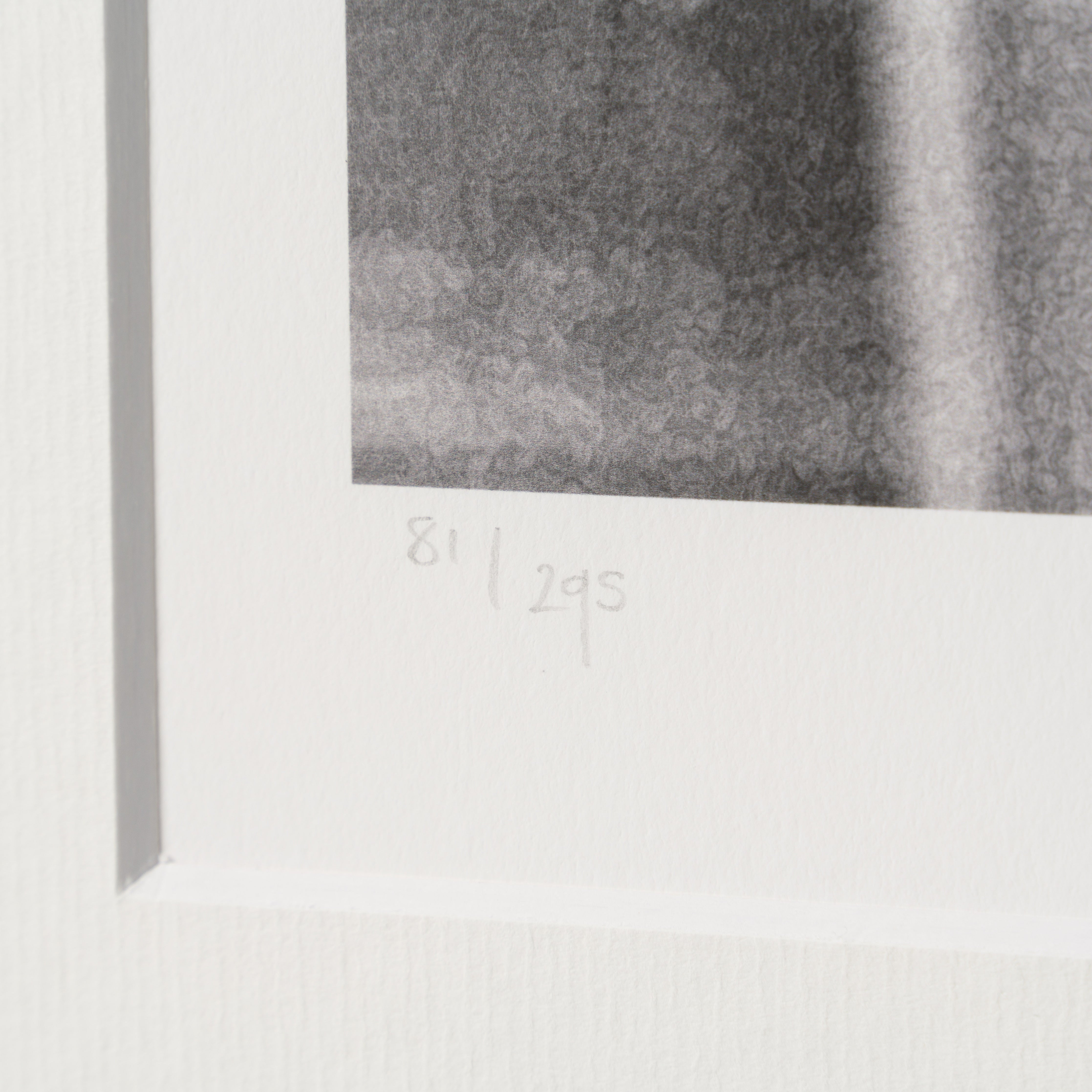 PEL SLE POR 07041 4 Santos Football Club